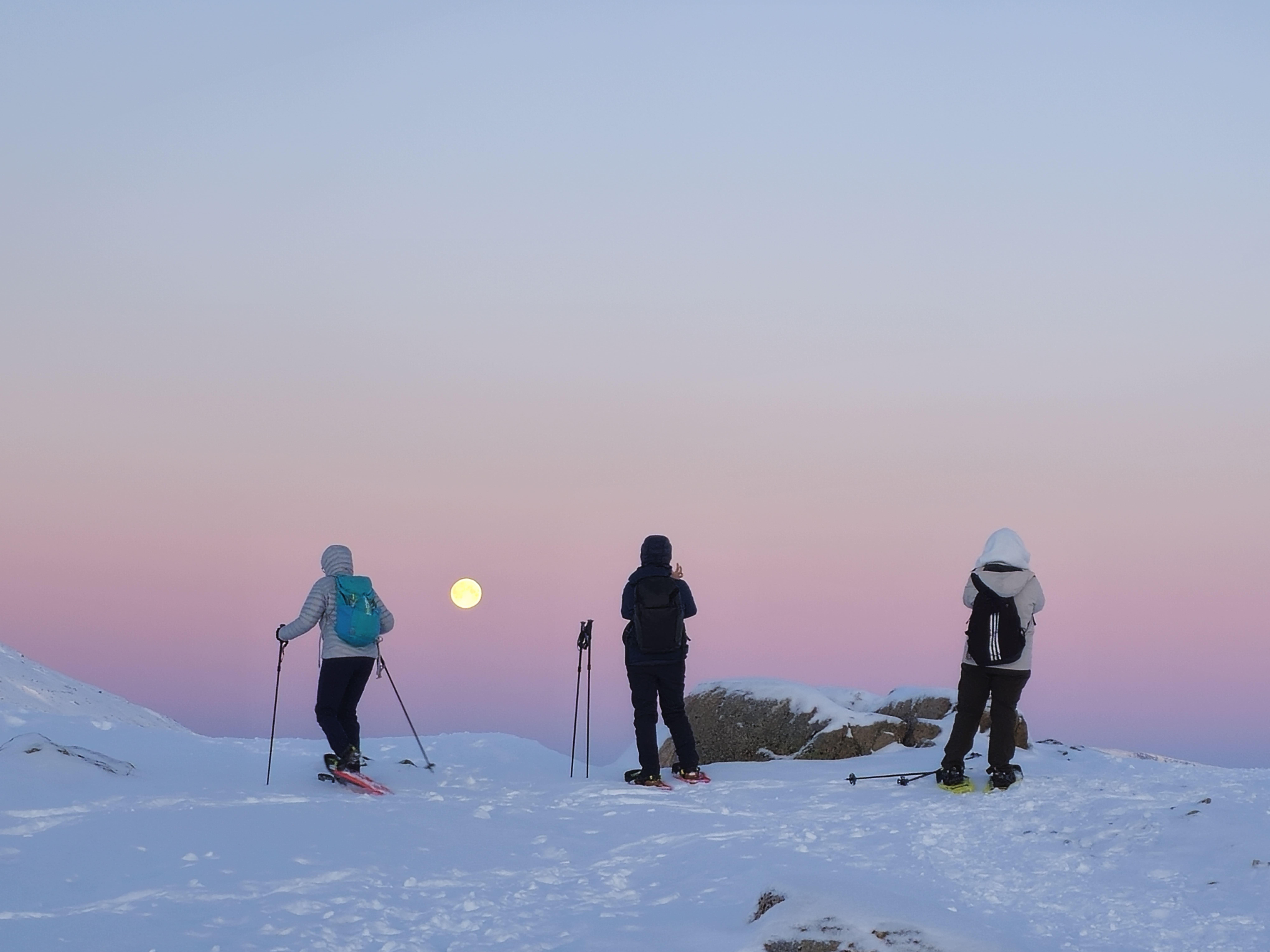 Arctic Snowshoe Trek from Tromsø