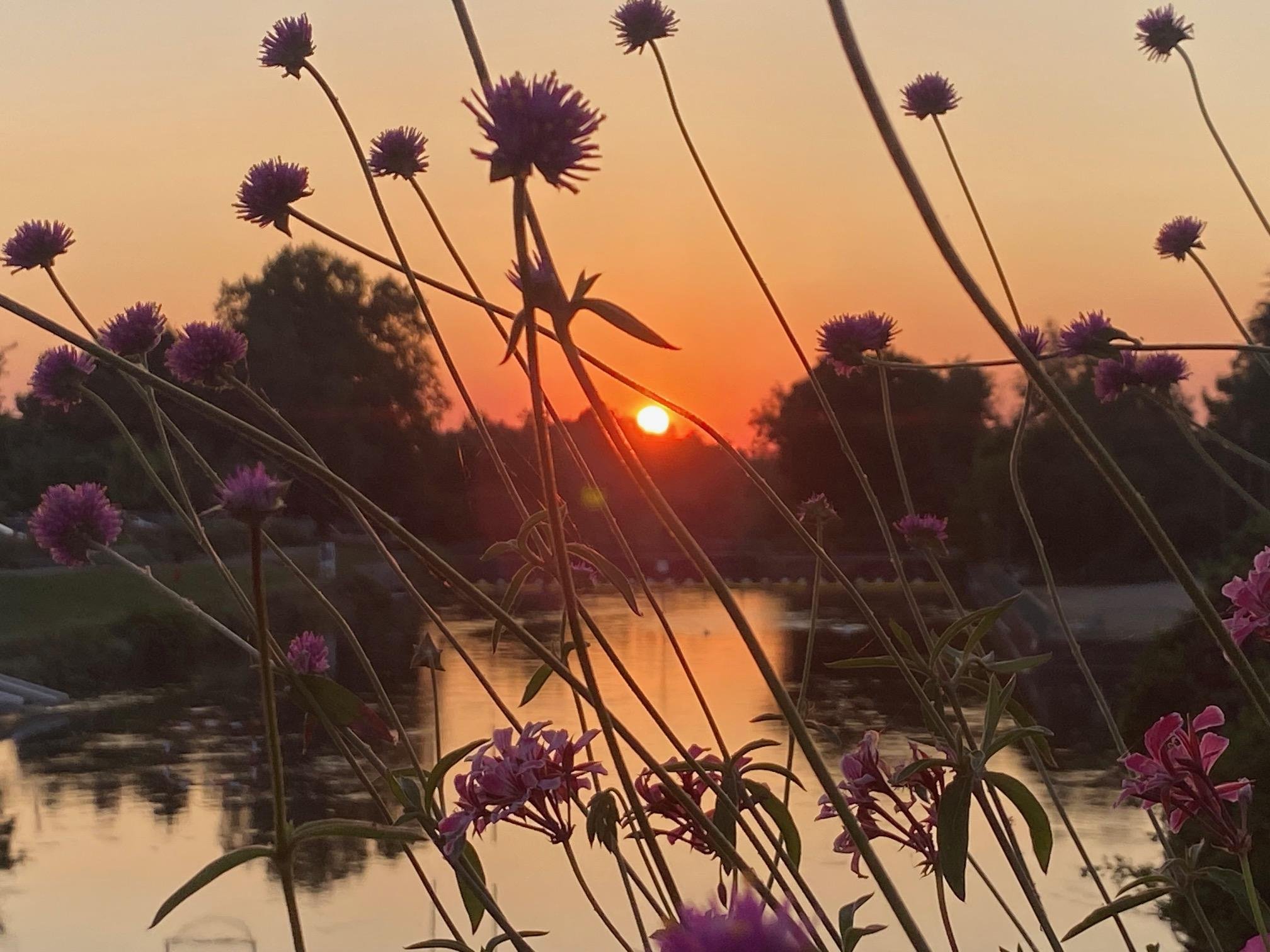 Three-Country Cycling Adventure from Basel
