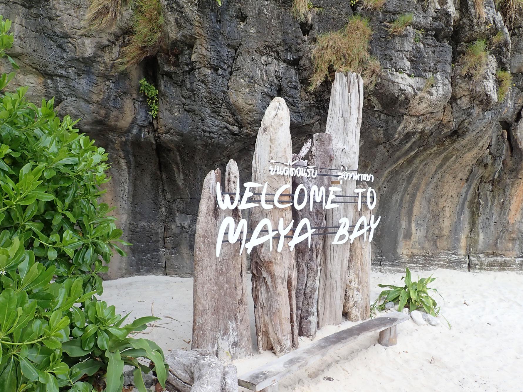 Private Koh Phi Phi Longtail Boat Expedition