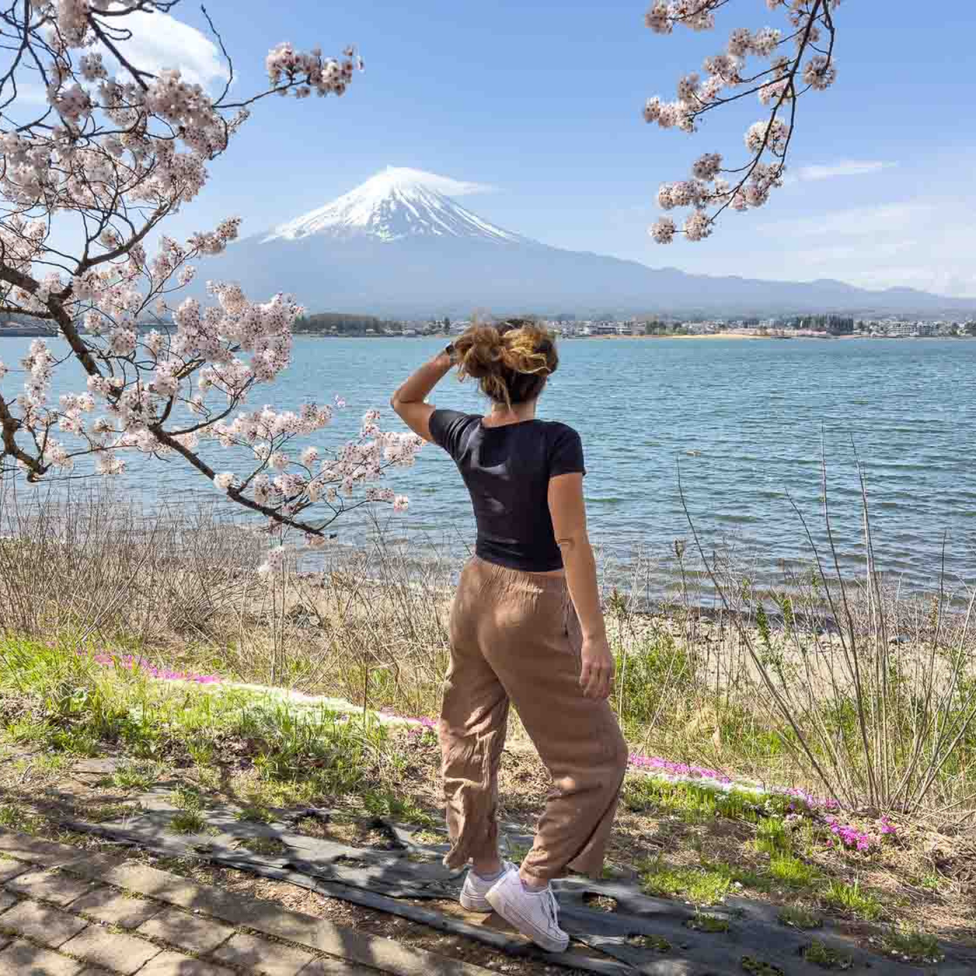 Private Mount Fuji & Hakone Day Tour from Tokyo