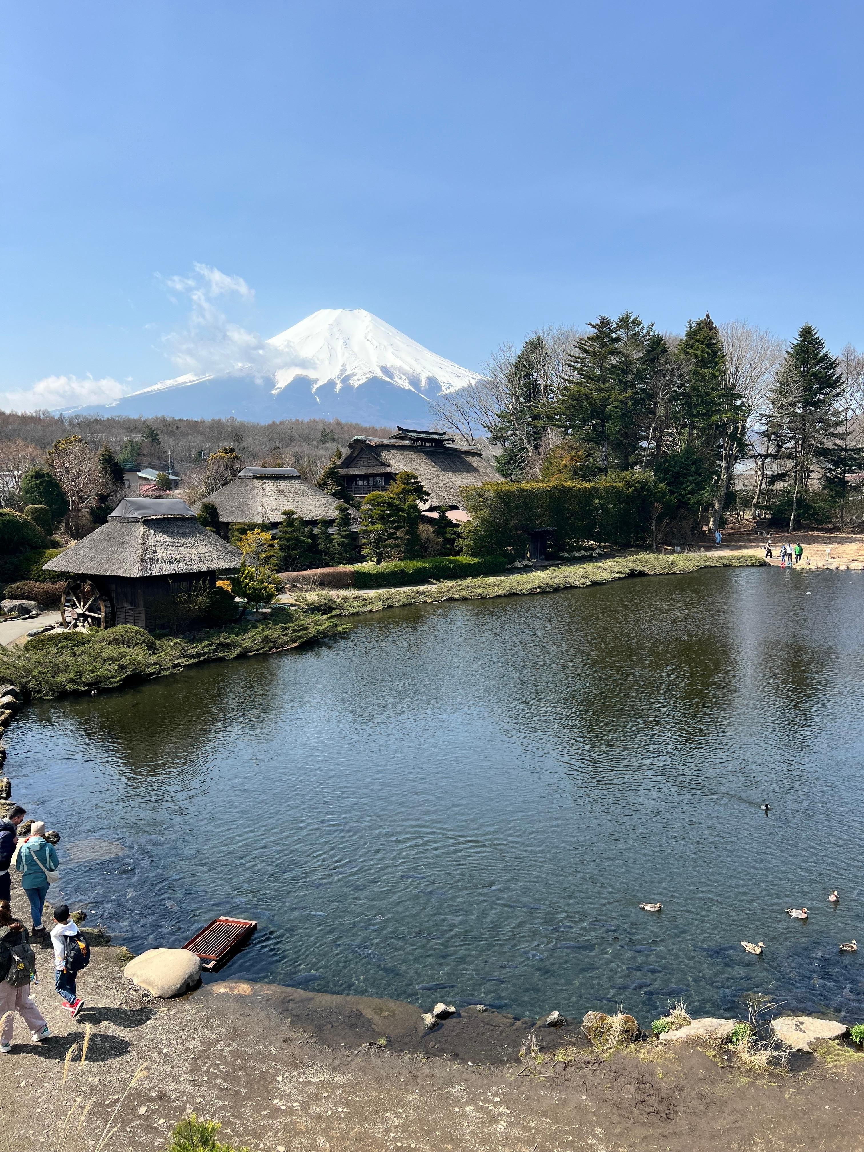 Mount Fuji & Hakone Private Full-Day Tour from Tokyo