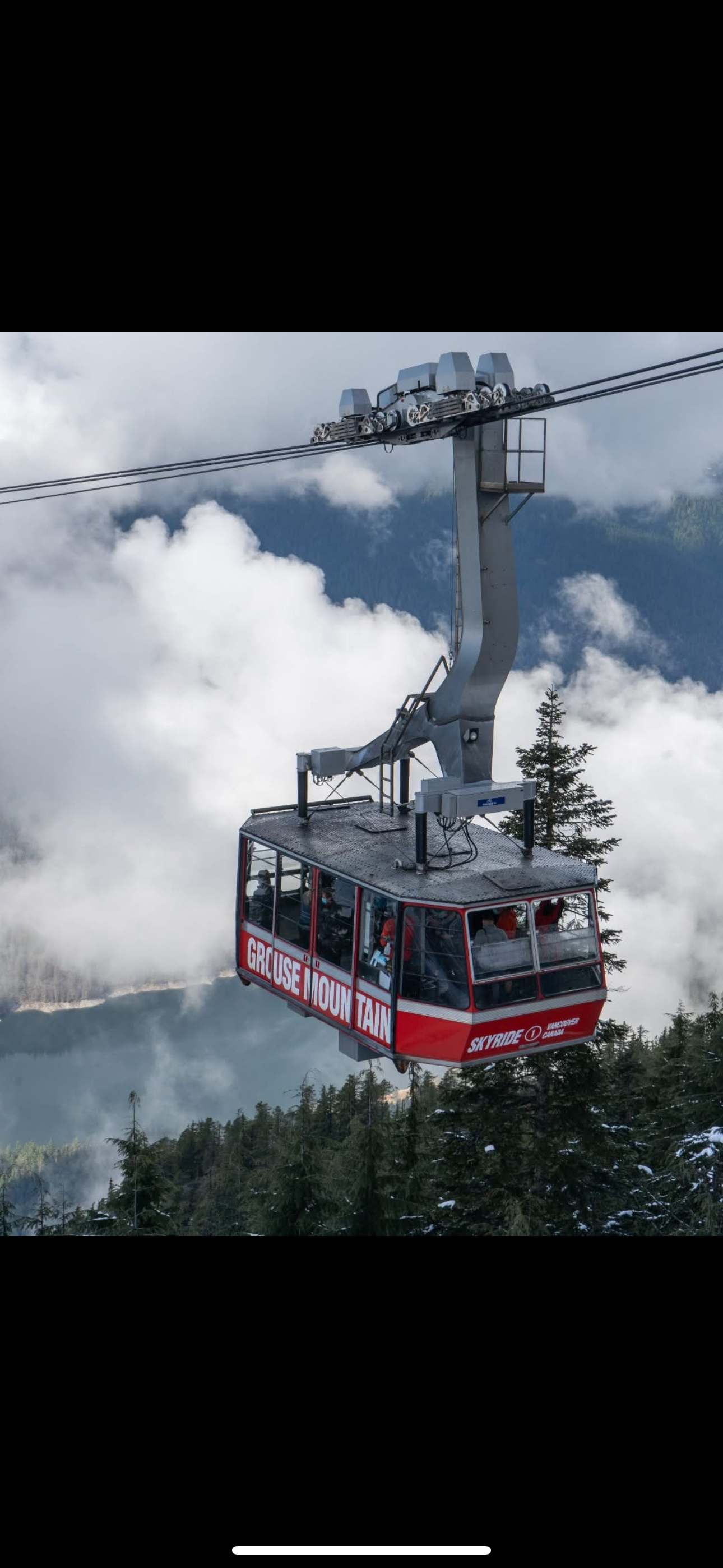 Private Vancouver Highlights: Capilano Suspension & Grouse Mountain