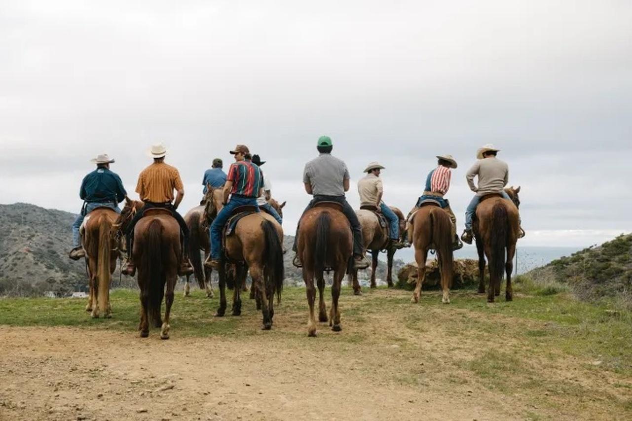 Catalina Island Horseback Trail Adventure