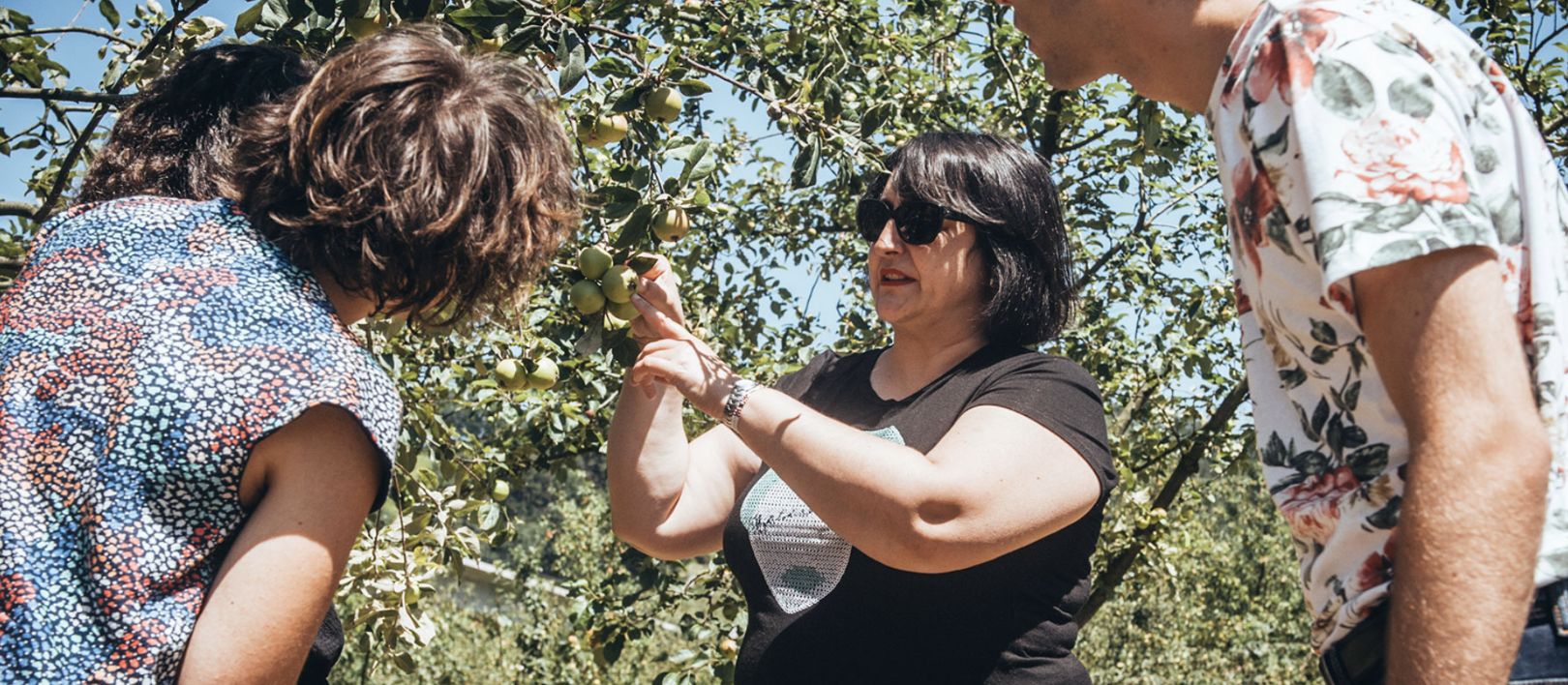Iparragirre Cider House Experience from San Sebastián