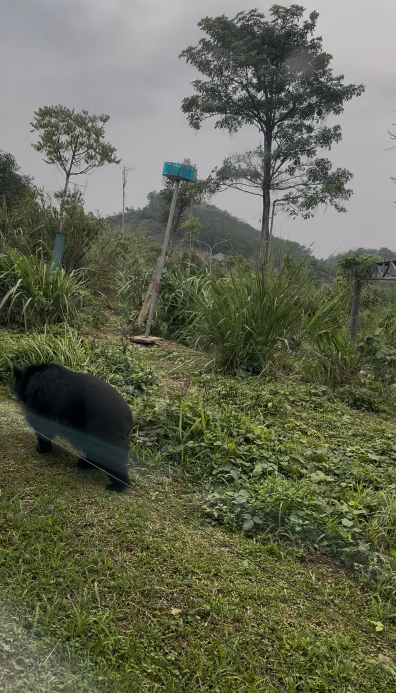 Cuc Phuong National Park Day Trek & Bear Sanctuary from Ninh Binh