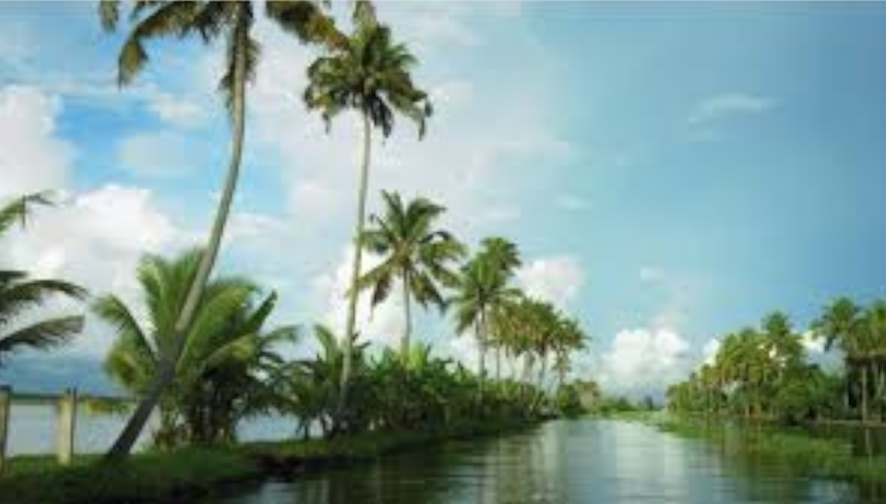 Alleppey Backwaters: Private Shikara Boat & Village Exploration