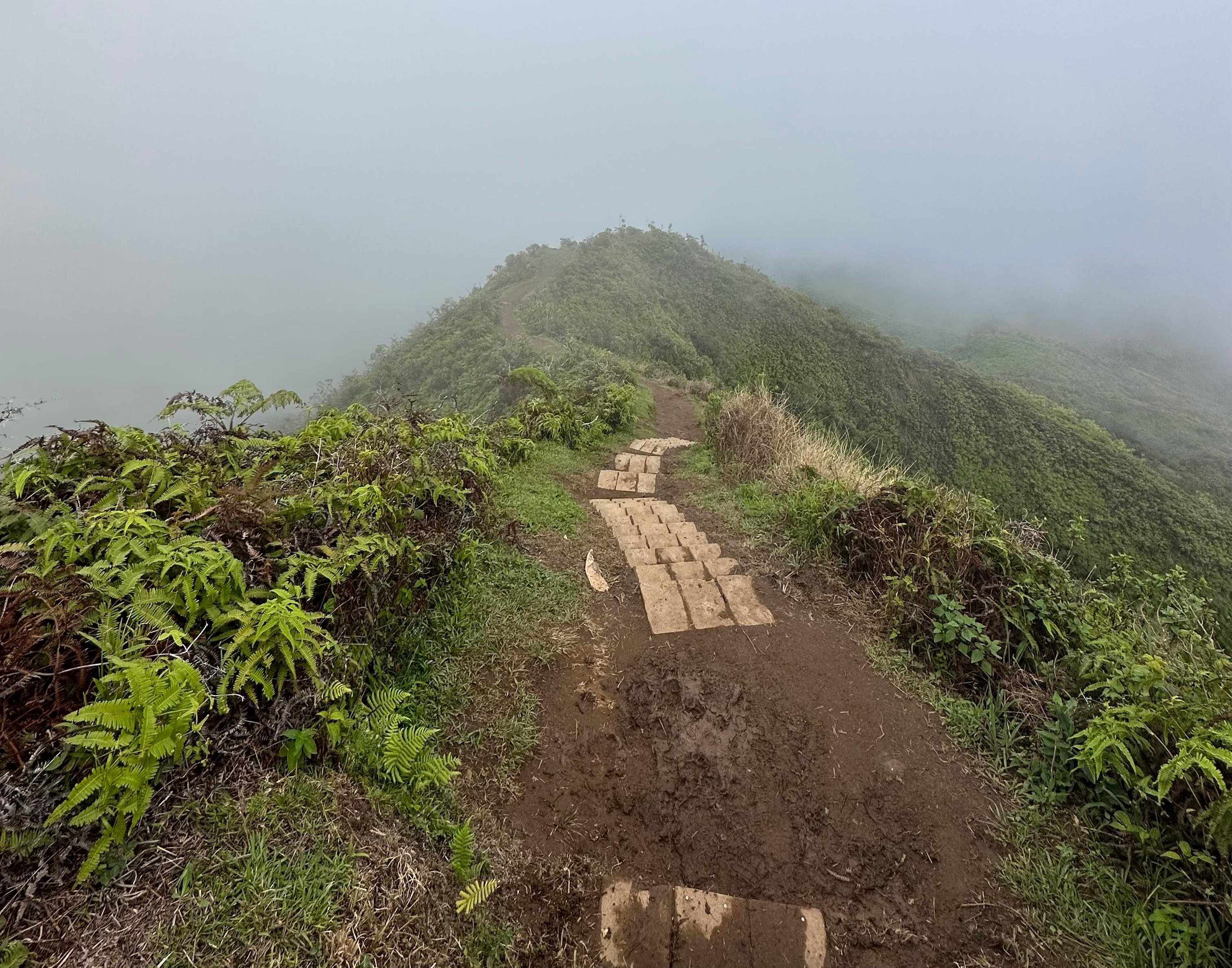 Private Half-Day Maui Island Tour
