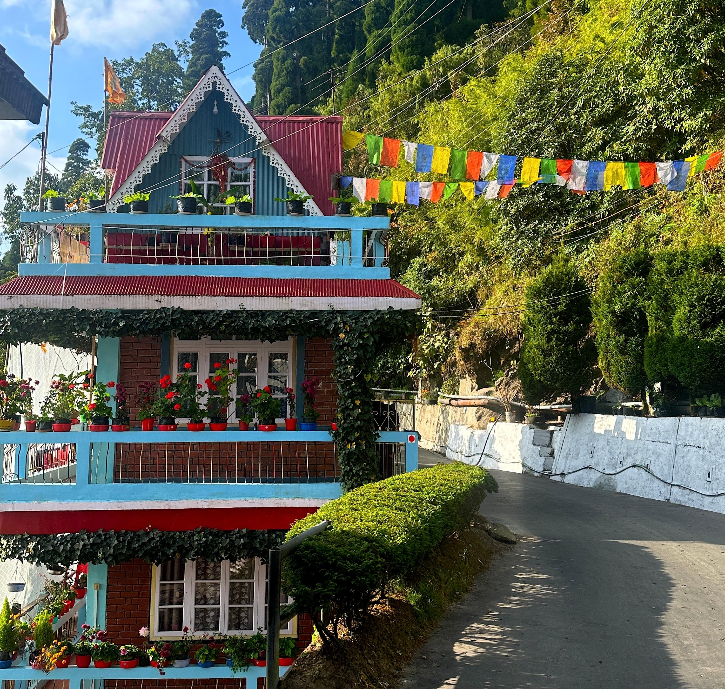Darjeeling: Tiger Hill Sunrise & Guided Trekking Day Tour