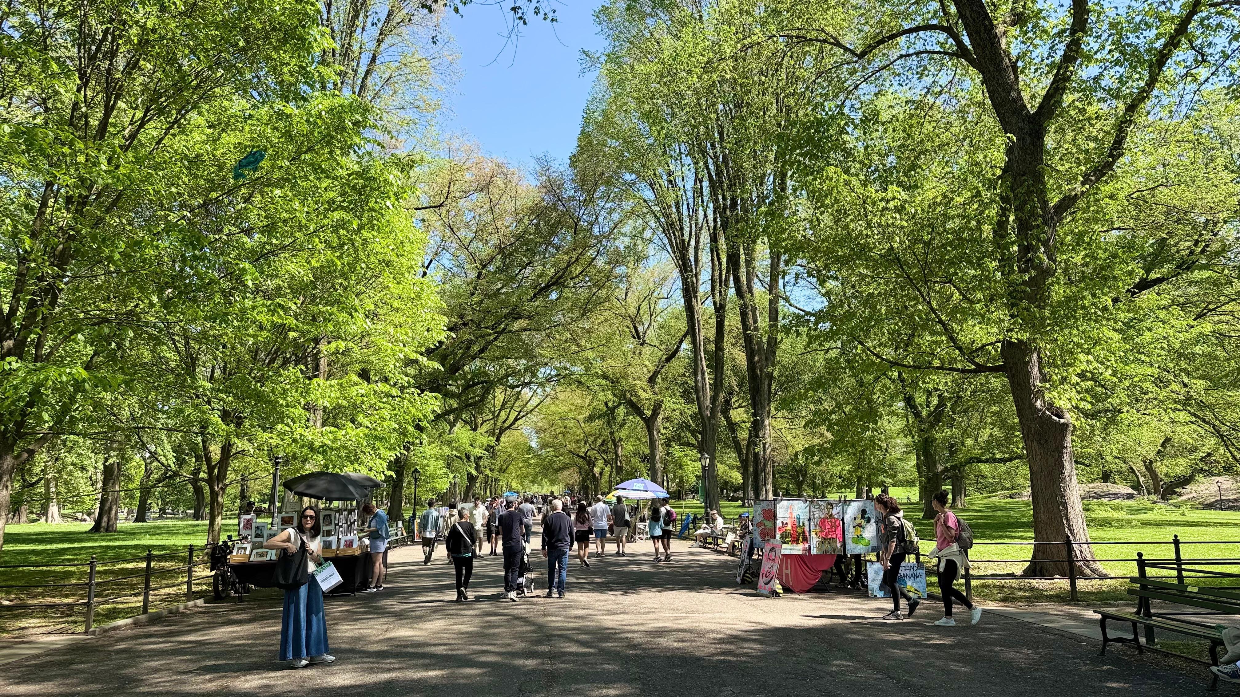 Central Park Movie Locations Bike Tour