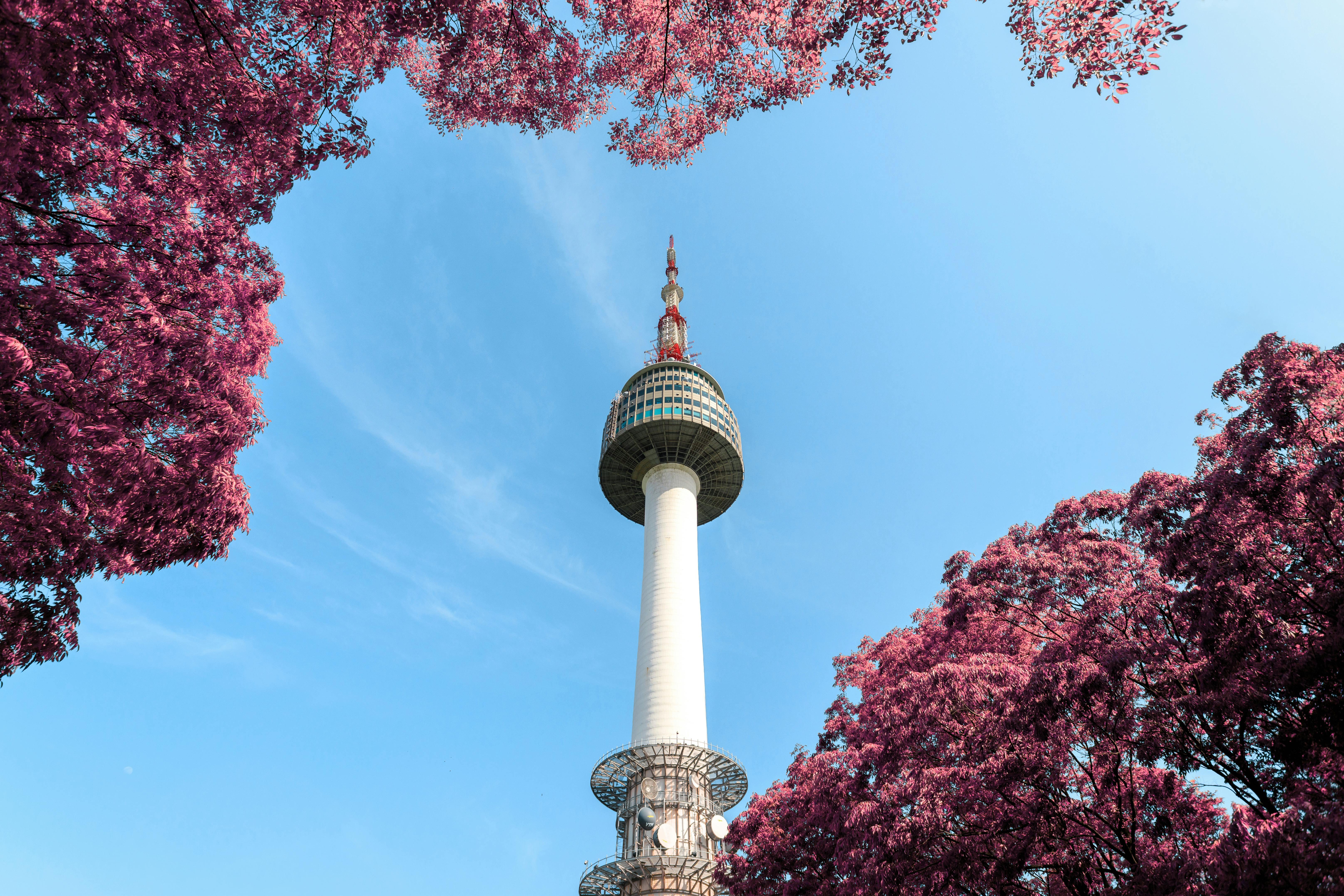 N Seoul Tower & Namsan Cable Car Combo Ticket