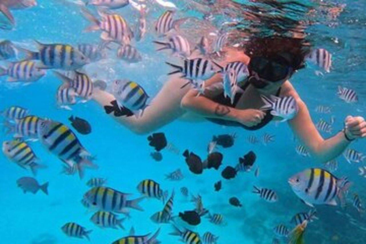 Zanzibar Safari Blue: Dhow Sailing, Snorkeling & Seafood Feast