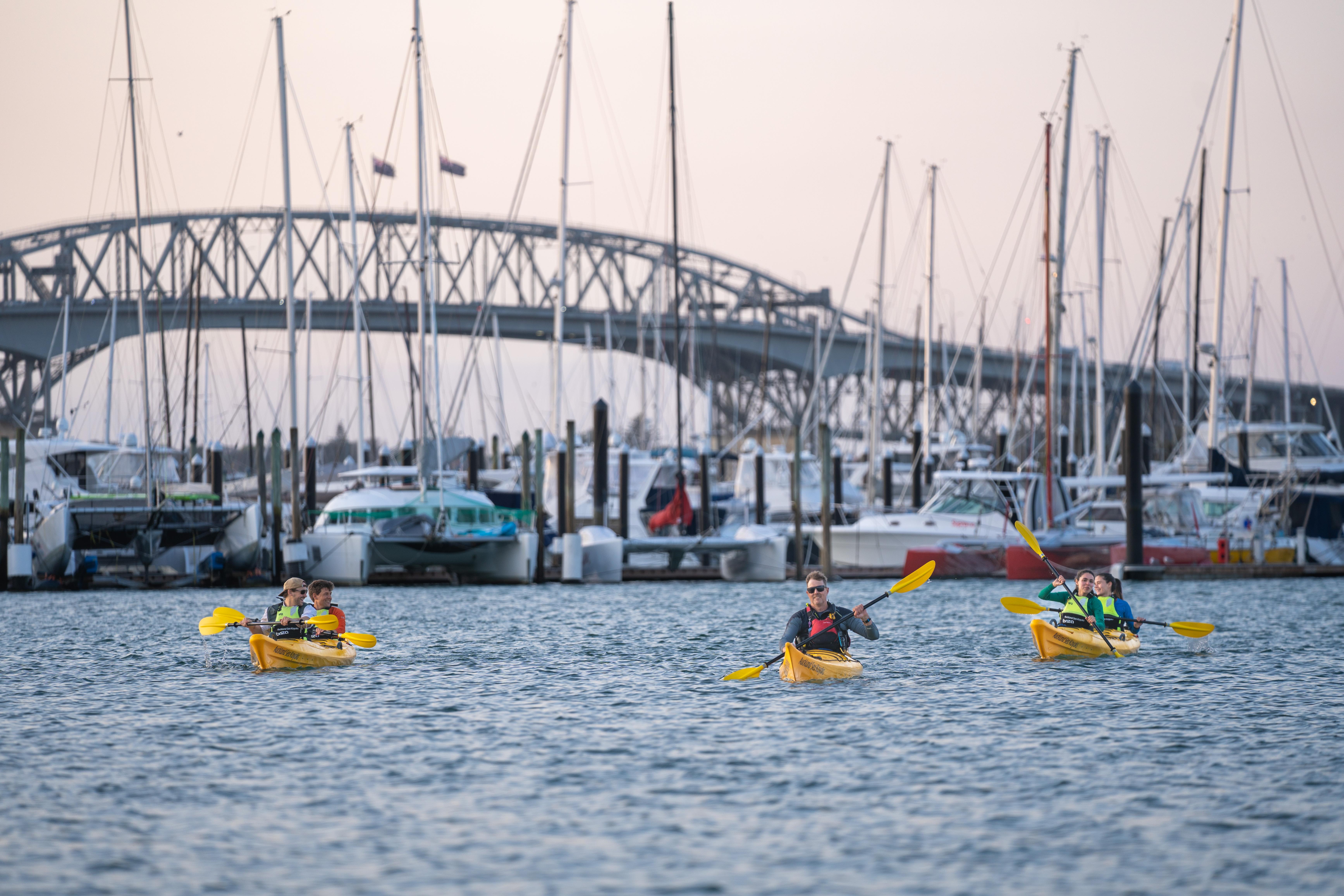 Auckland Harbour Kayak Tour