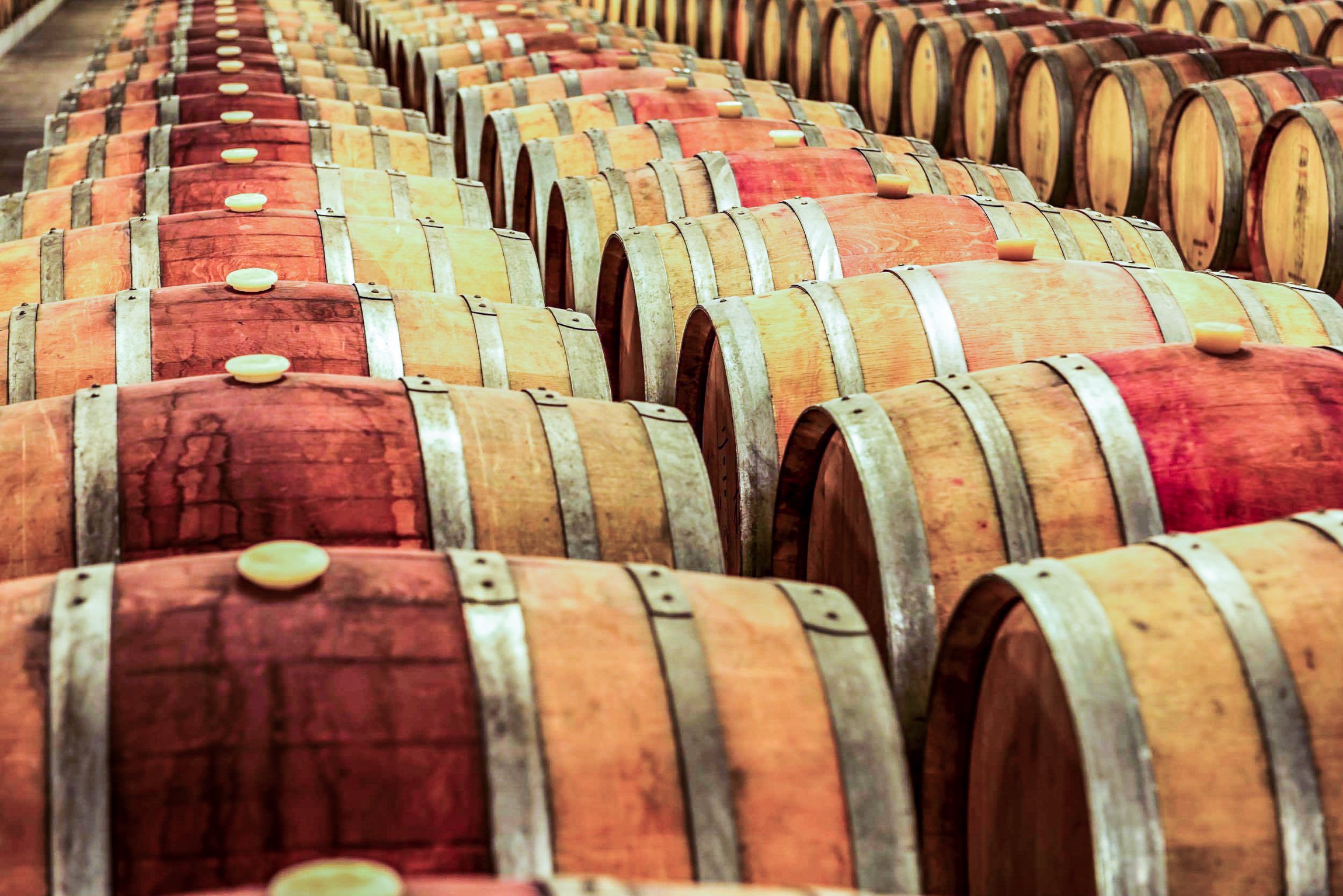 Douro Valley Day Trip: Boat Cruise, Wine Tasting & Traditional Lunch from Porto