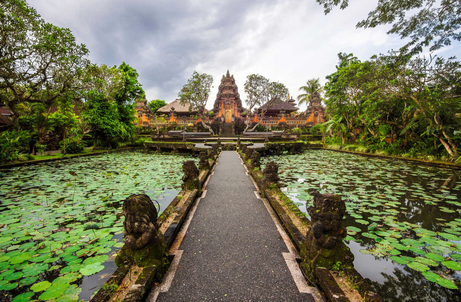 Bali Highlights: Ubud Waterfalls, Monkey Forest & Rice Terraces