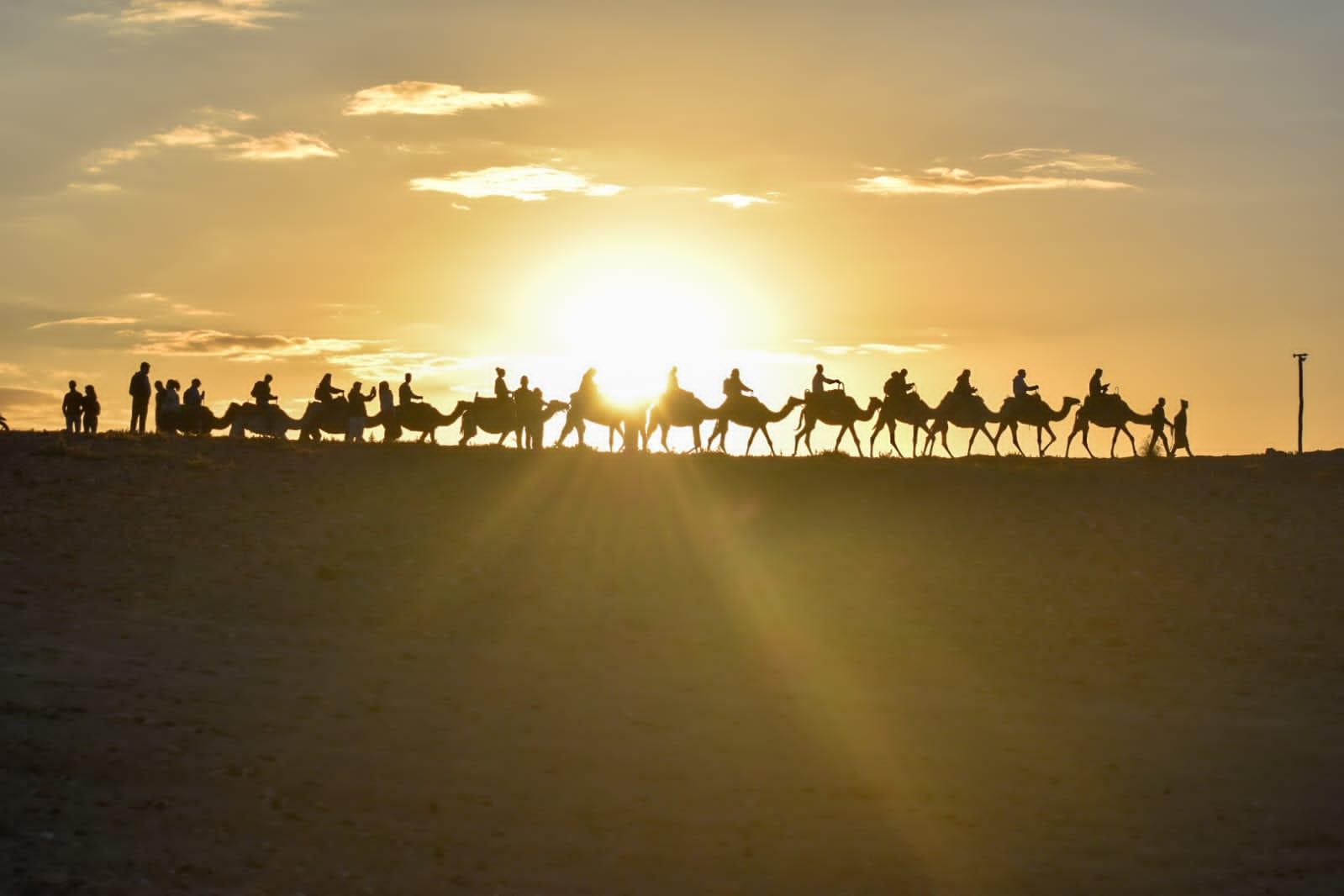 Agafay Desert Sunset, Camel Ride & Berber Dinner Show from Marrakech