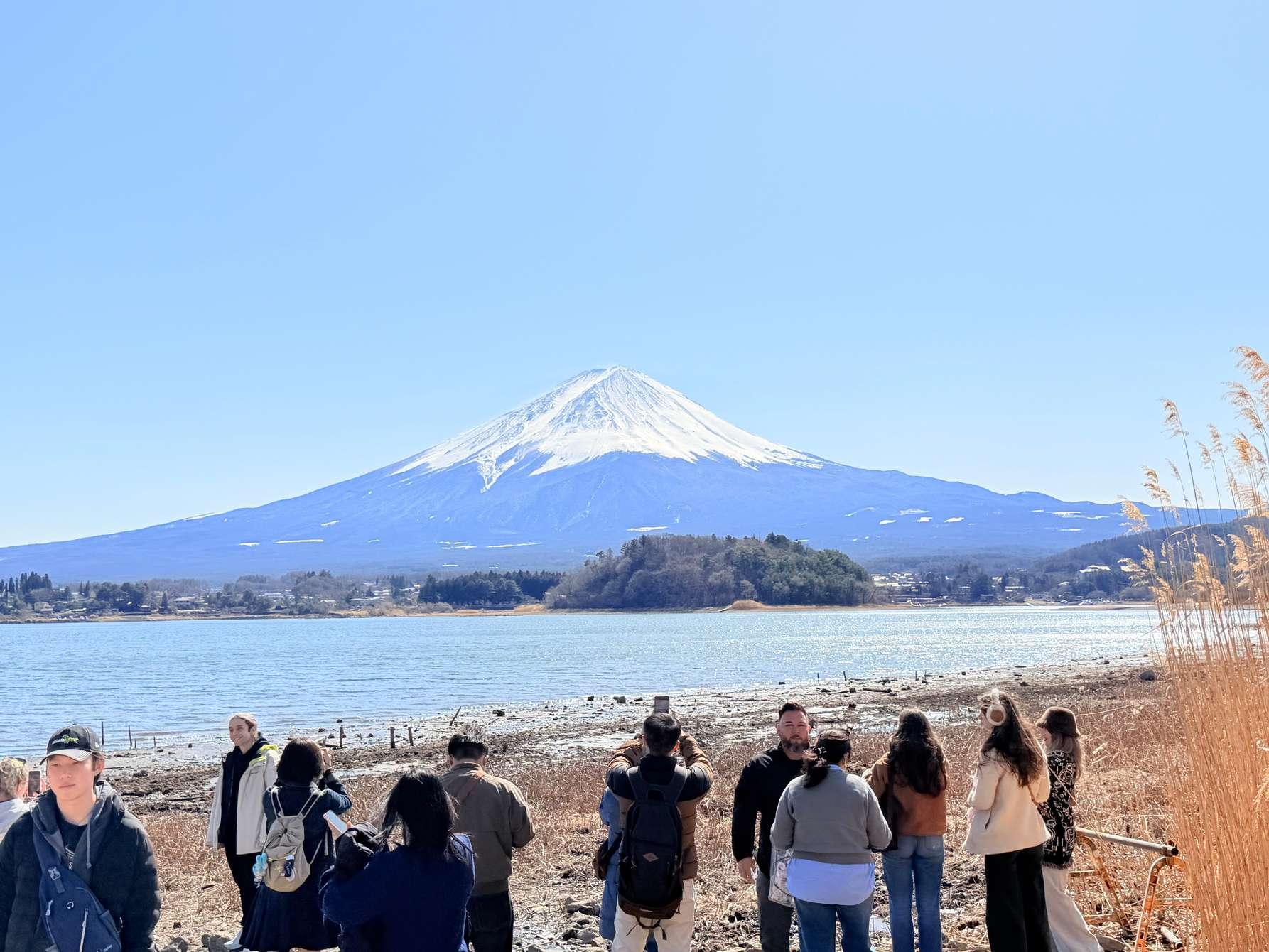 Mount Fuji Private Guided Day Tour from Tokyo