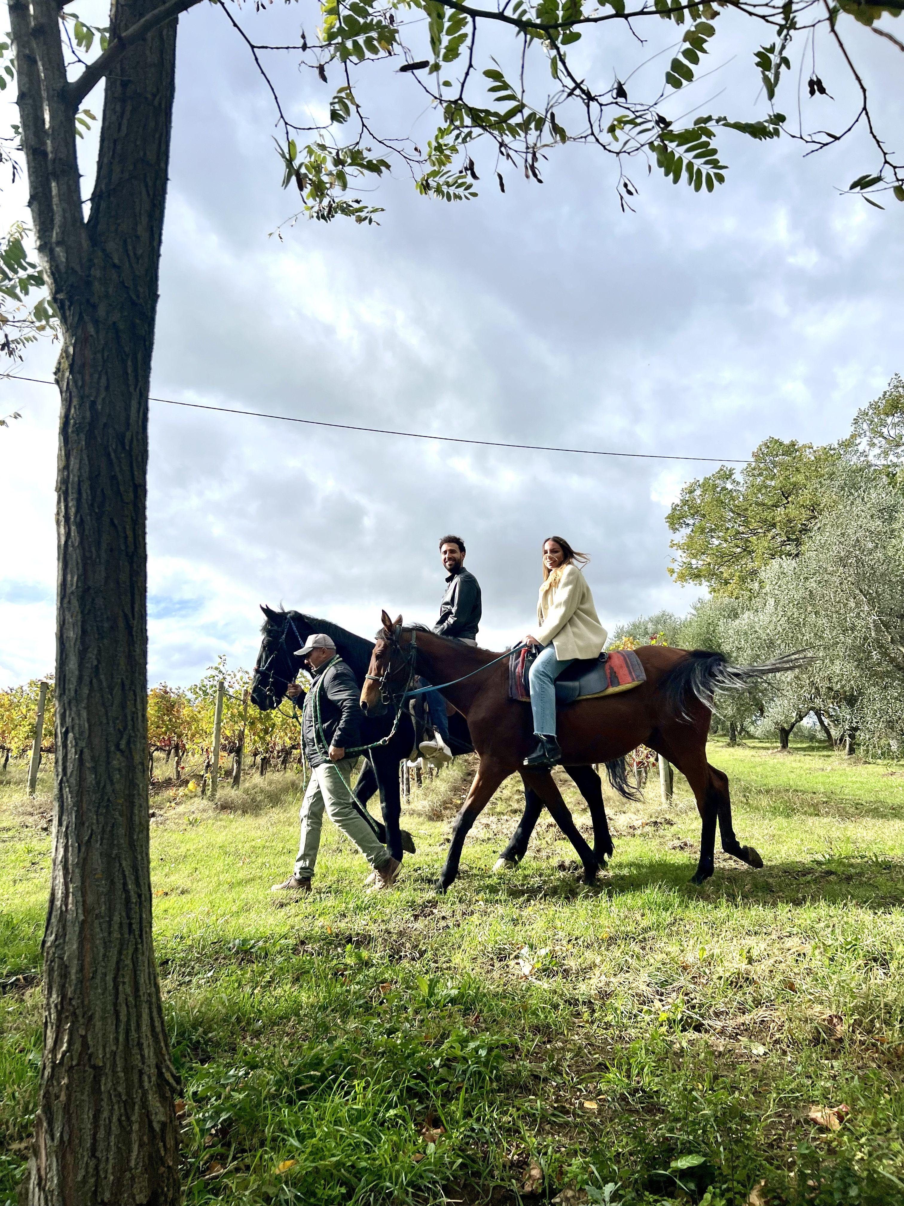 Montepulciano Vineyard Horseback Ride & Tuscan Tasting