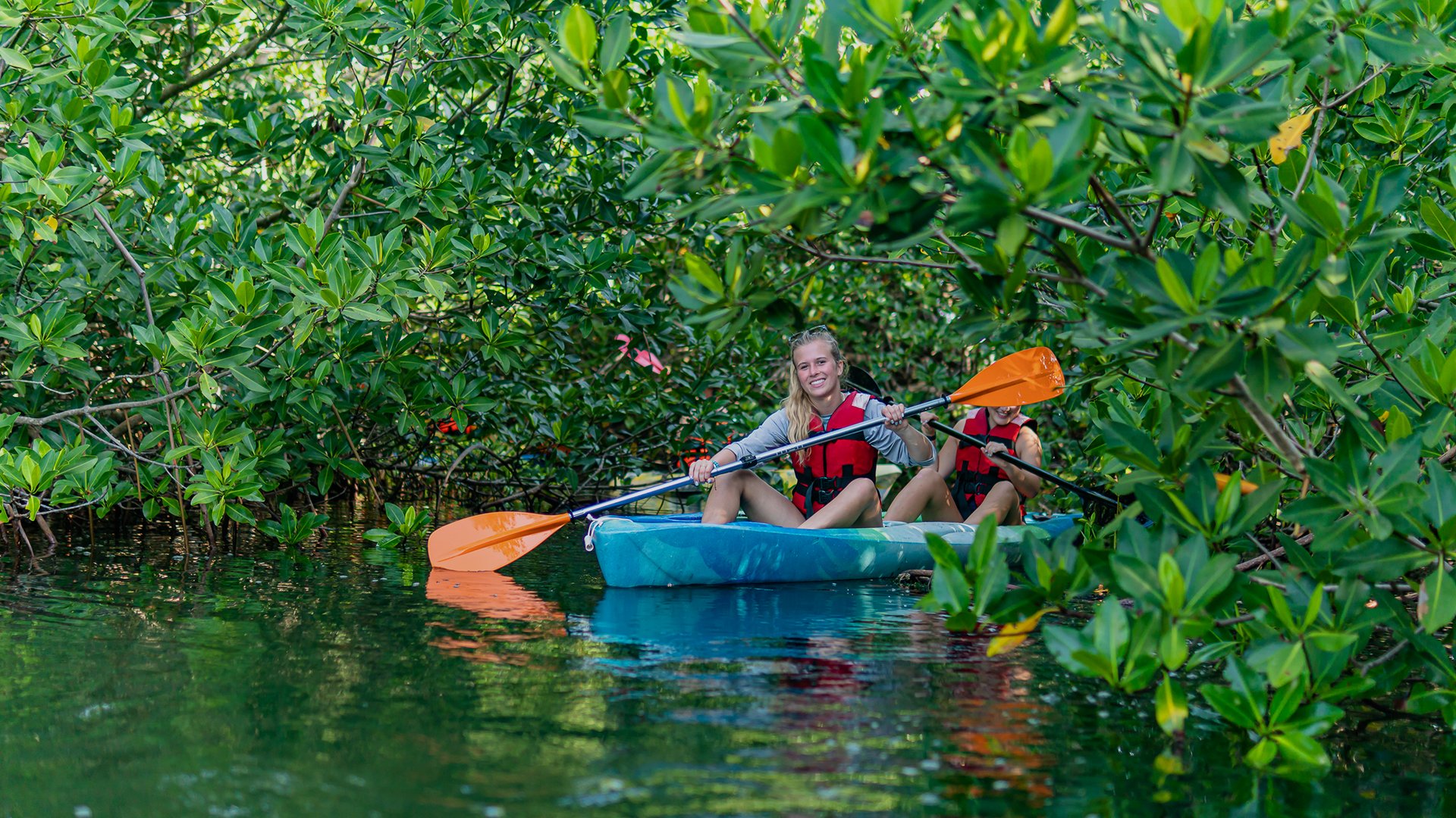 Guided Kayak Adventure in Nichupté Lagoon
