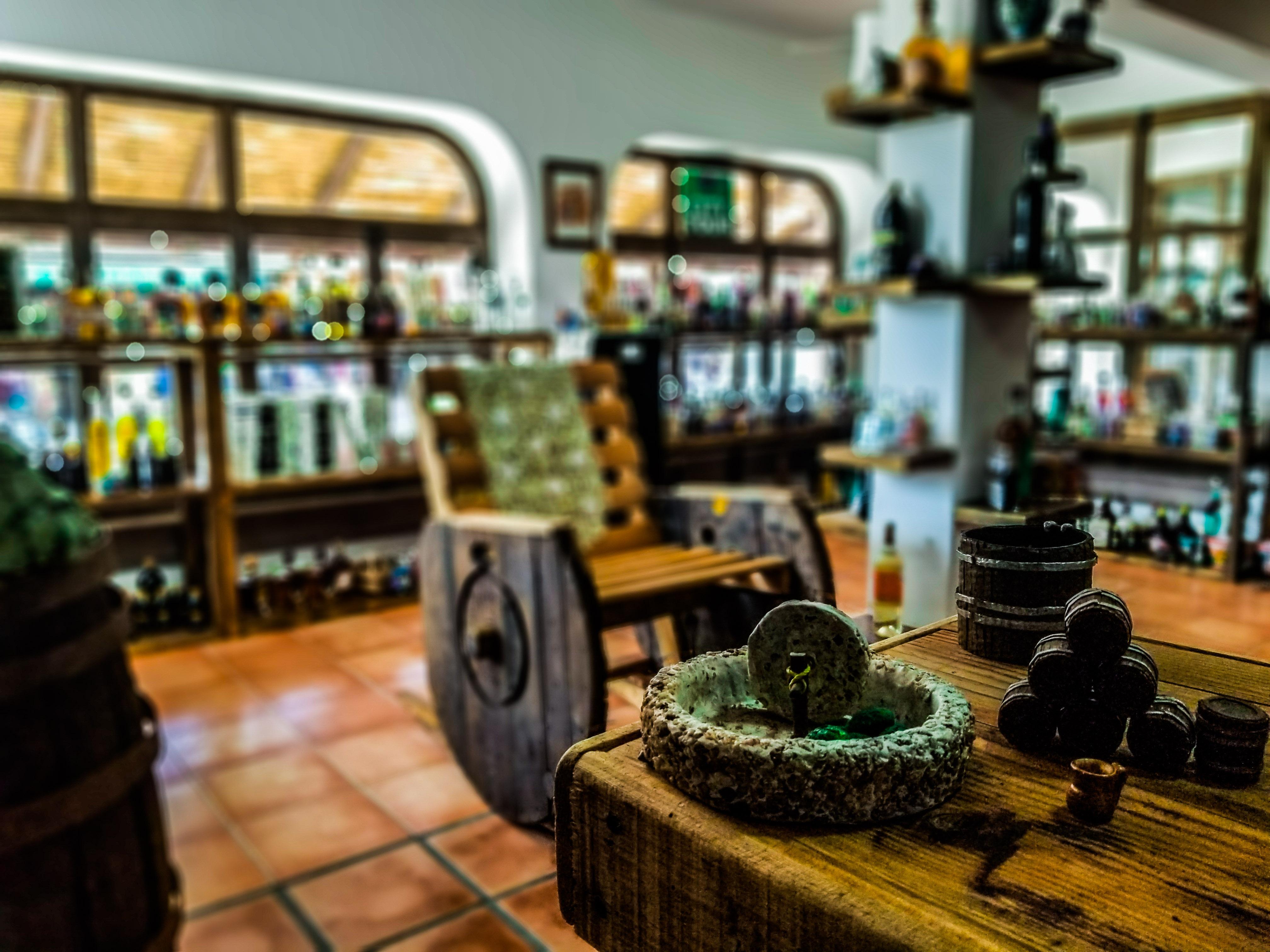 tequila tour in Los Cabos — photo 1