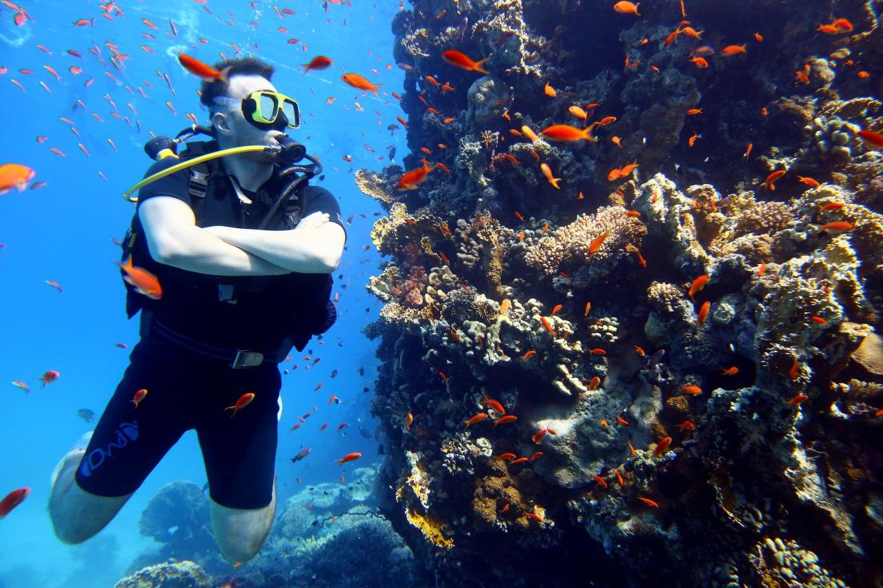 Sharm El Sheikh: Ras Mohamed & White Island Dive & Snorkel Day Trip