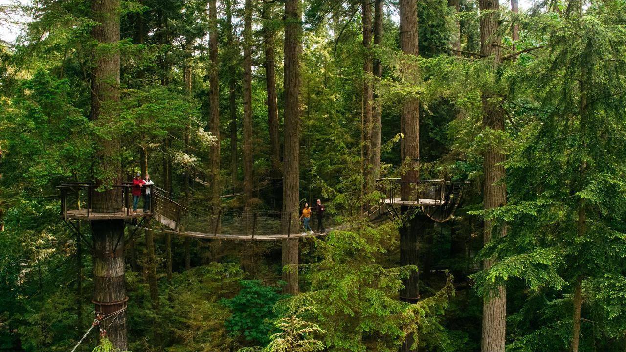 Capilano Suspension Bridge Park Entry