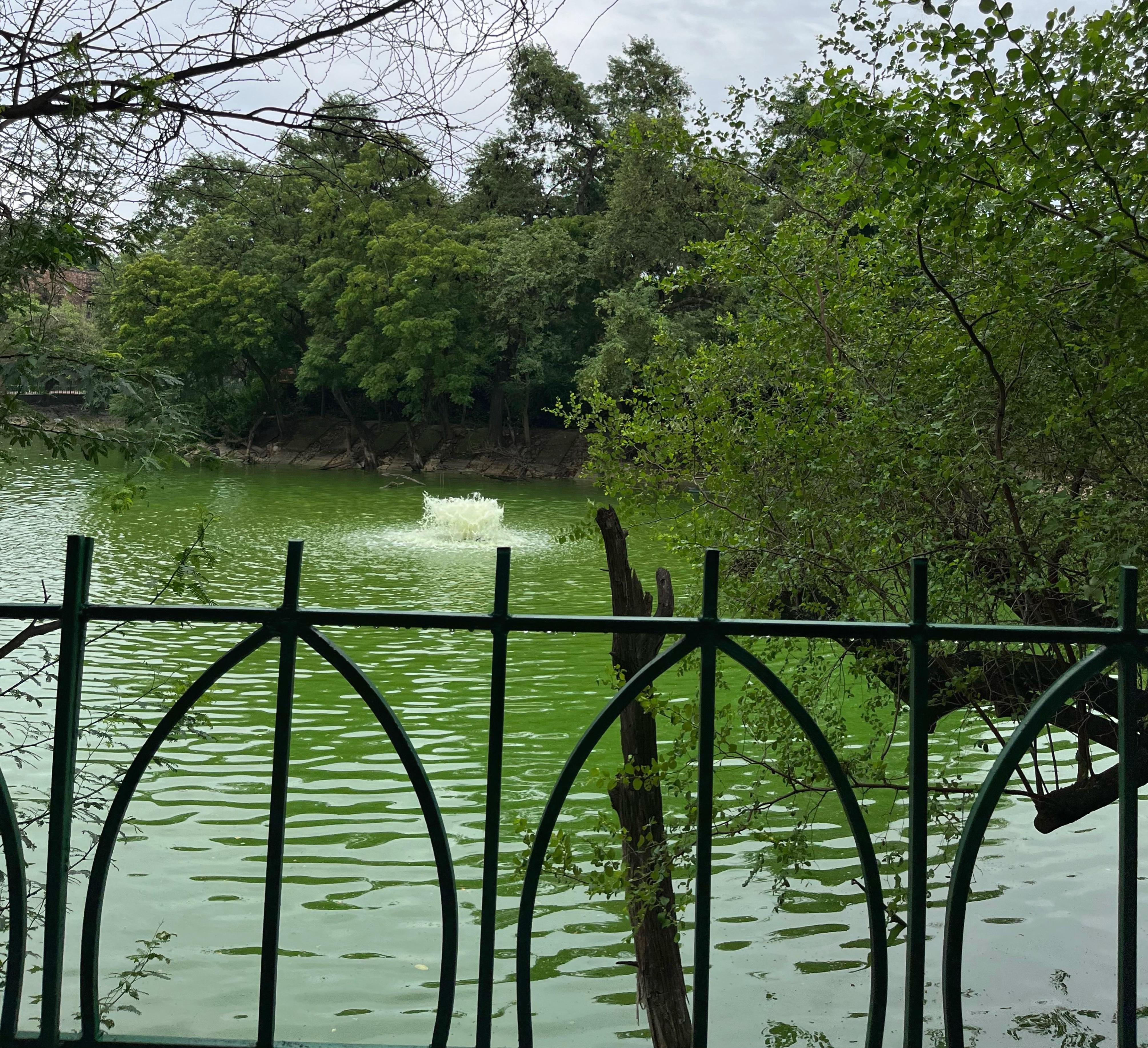 Hauz Khas & Delhi Sultanate Historical Walking Tour