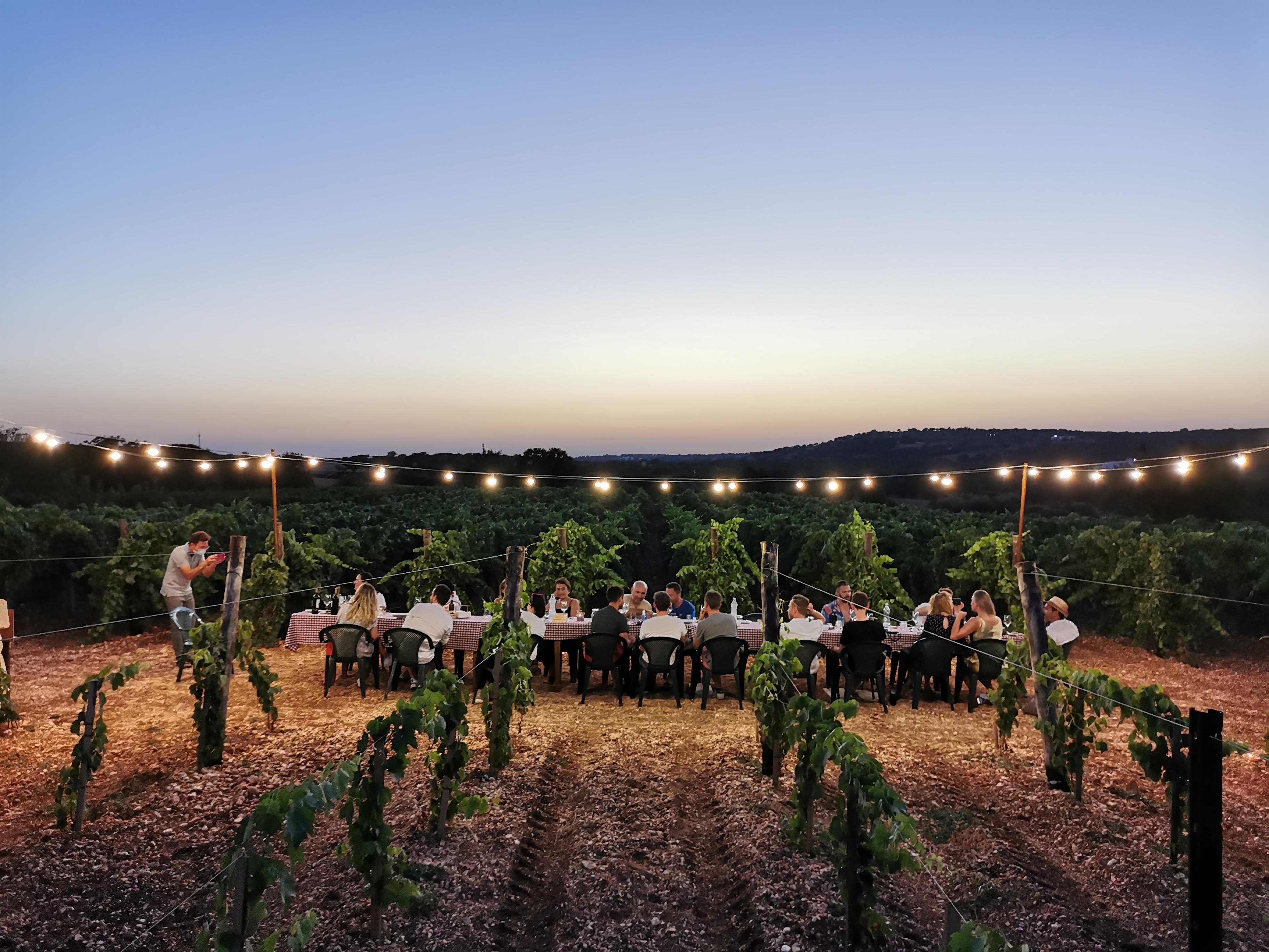 Apulian Wine Tasting with Farm Appetizers