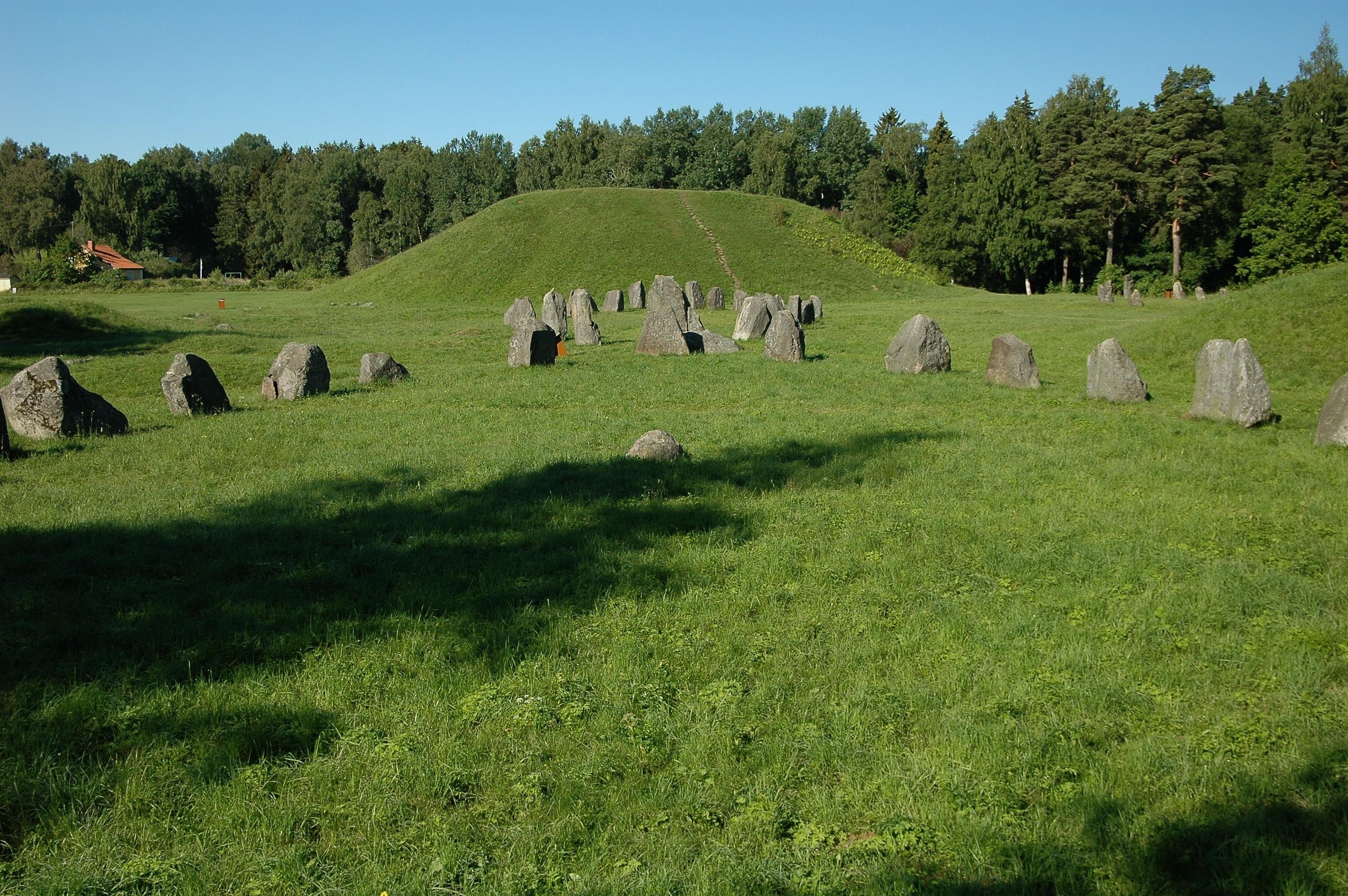 Enköping Historical Journey: Vikings, Petroglyphs & Medieval Sweden