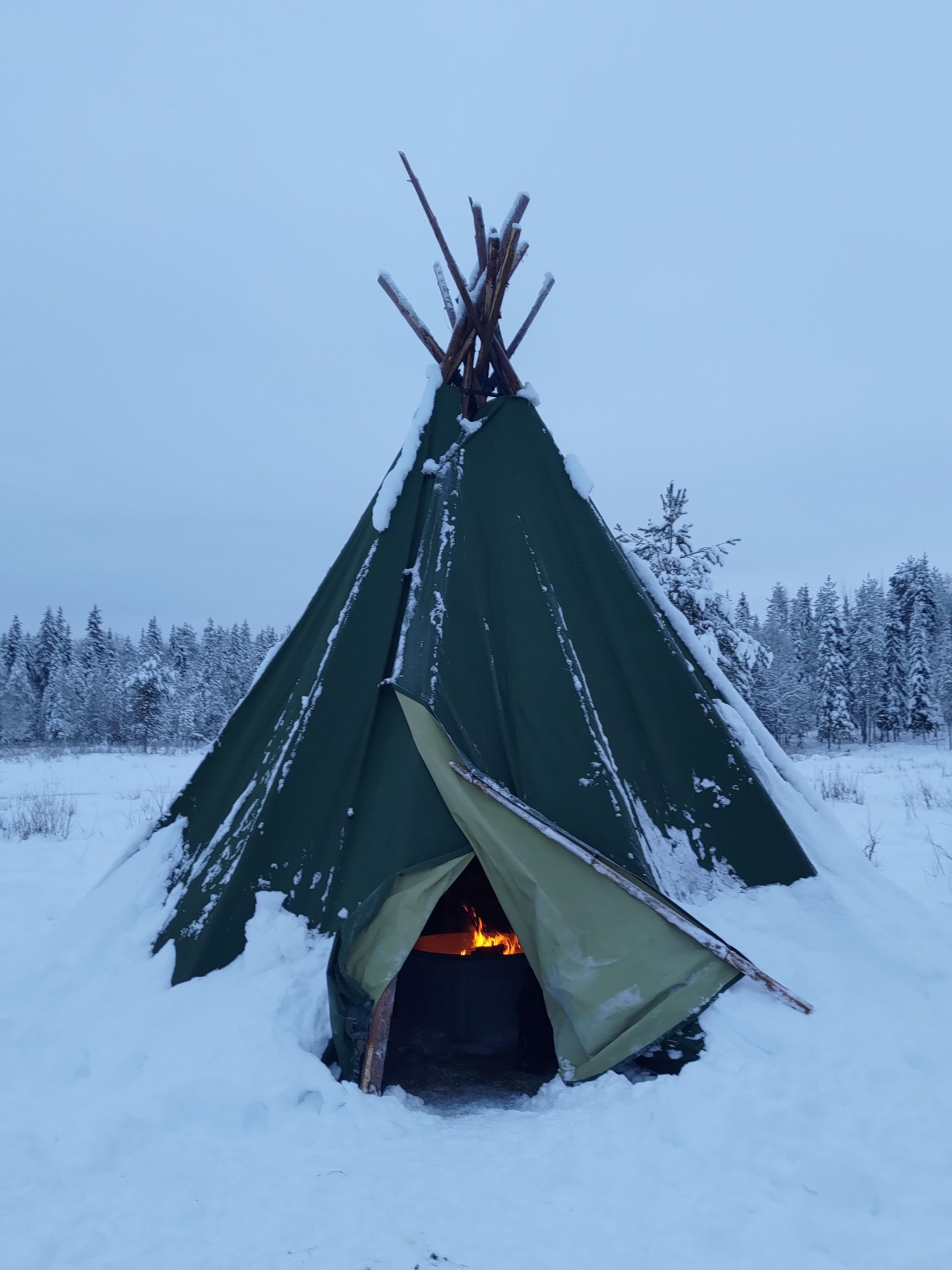 Rovaniemi Reindeer Farm: Herd Encounter & Lapland Culture