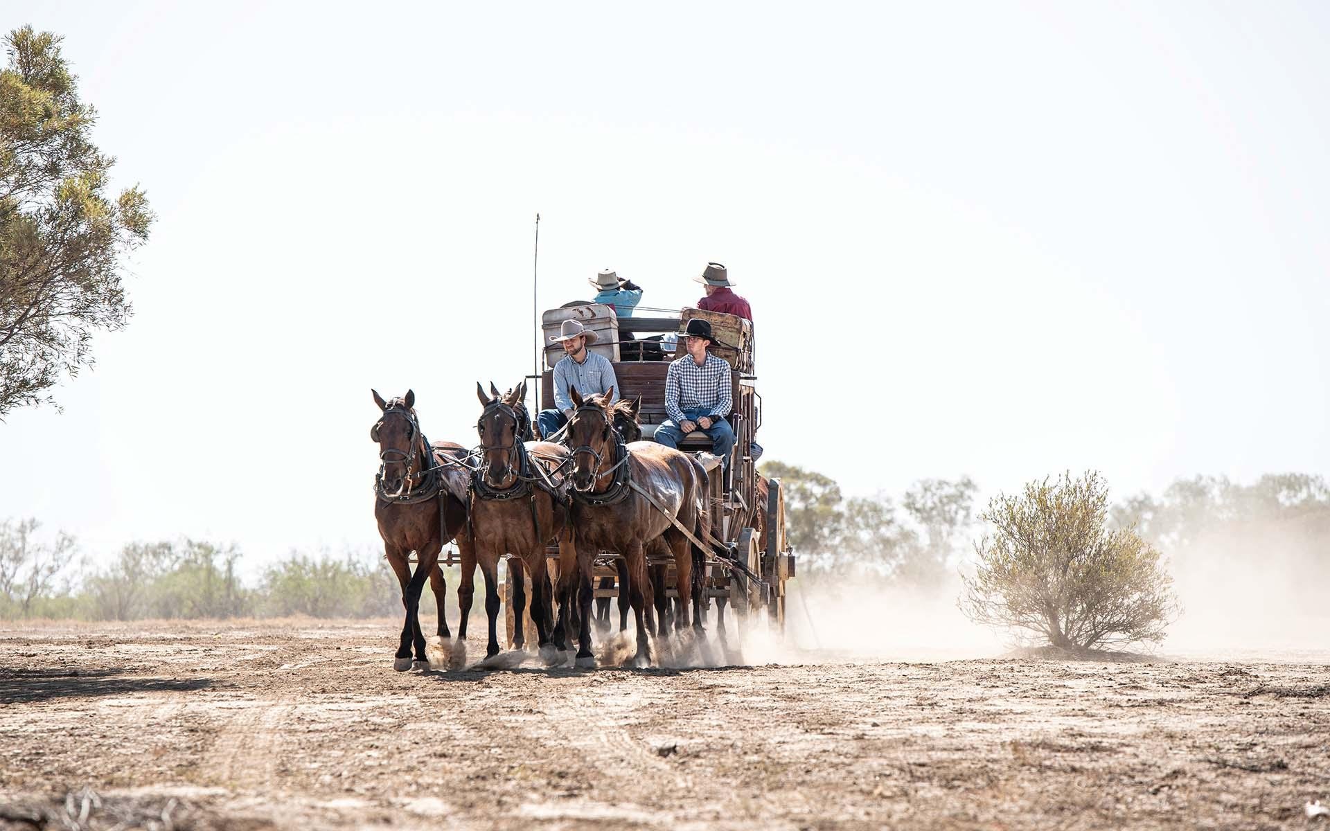 Outback Stagecoach Adventure with Cobb & Co
