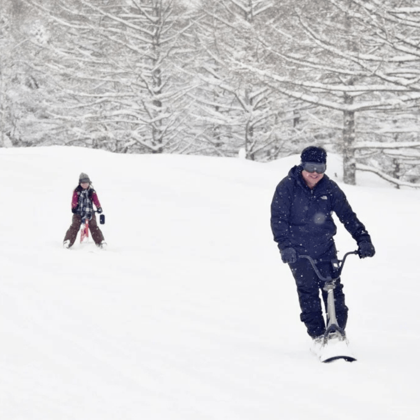 Private Nagano Day Tour: Snow Monkeys, Zenko-ji & Hot Springs from Tokyo