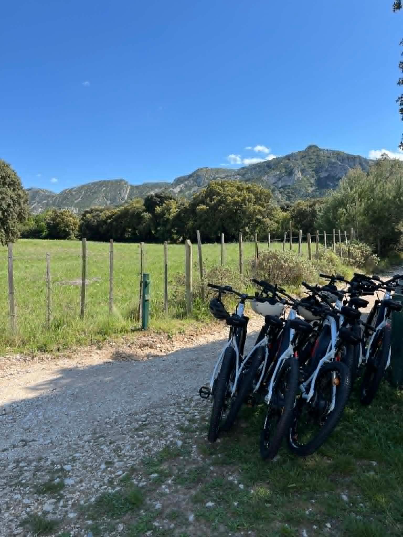 Provençal Countryside Bike Tour with Farm & Tasting Visits