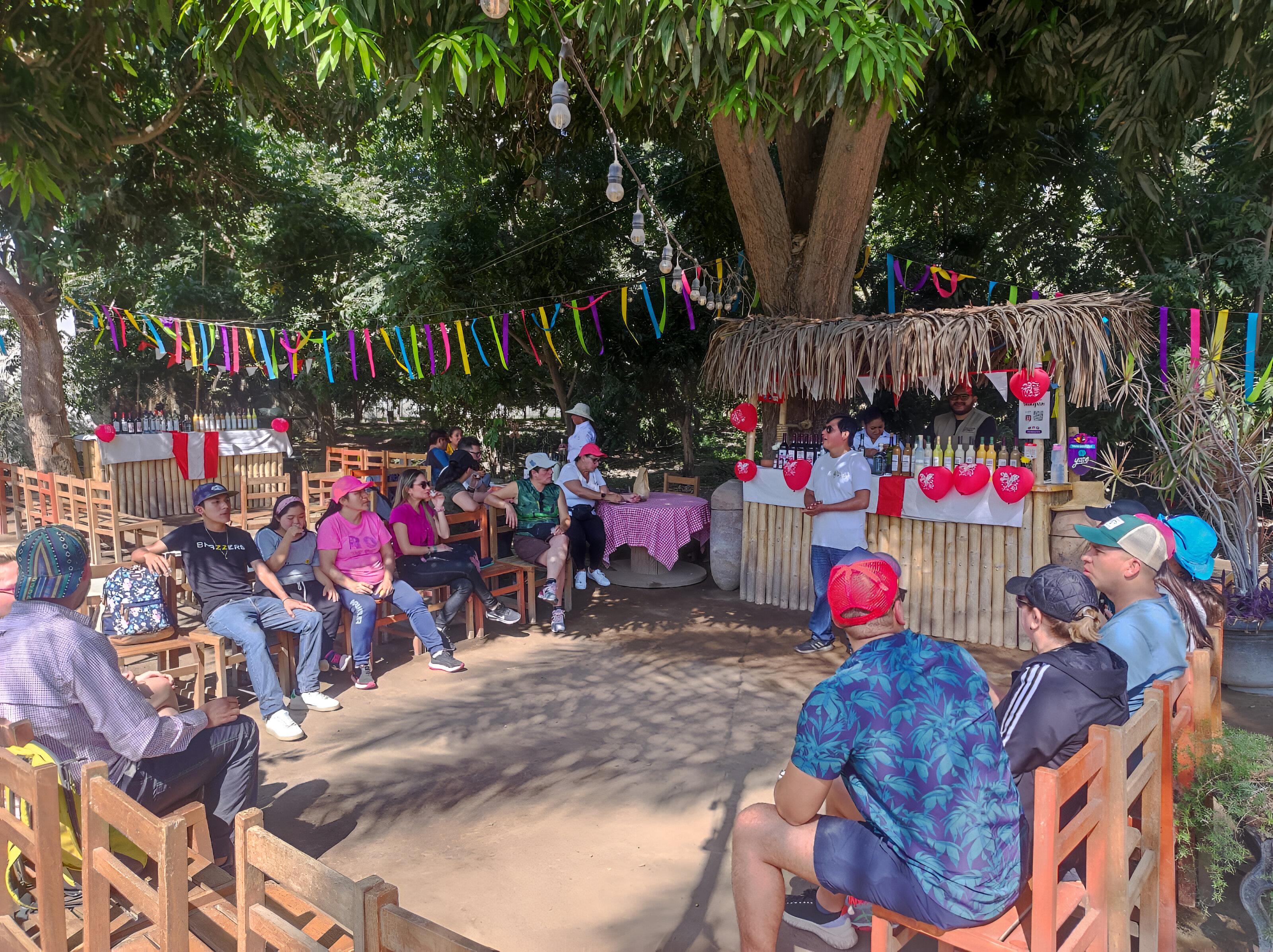 Tour de un día desde Lima a Paracas, Huacachina y el oasis del desierto de Ica