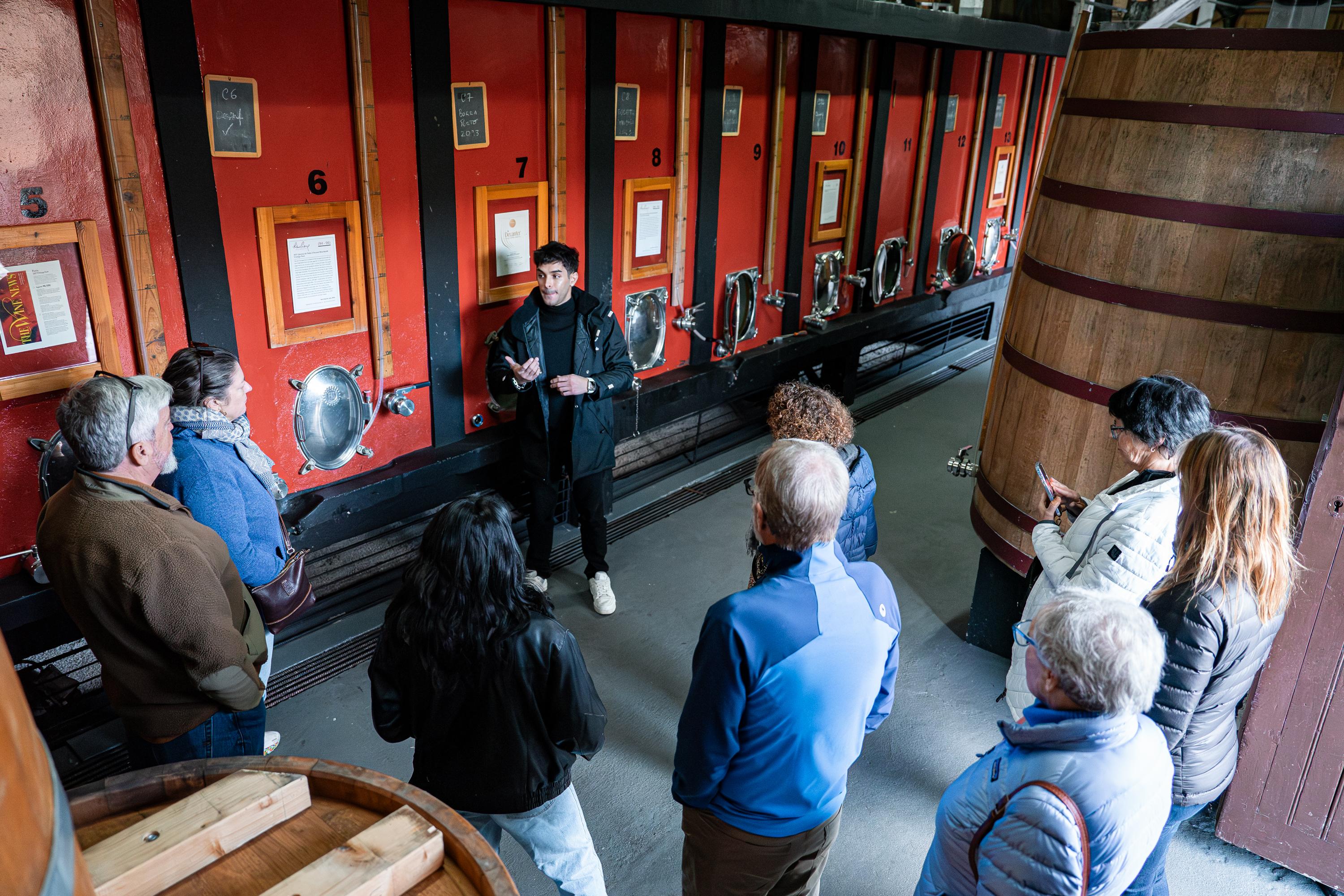 Douro Valley Wine Tour: 2 Wineries, Lunch & River Cruise