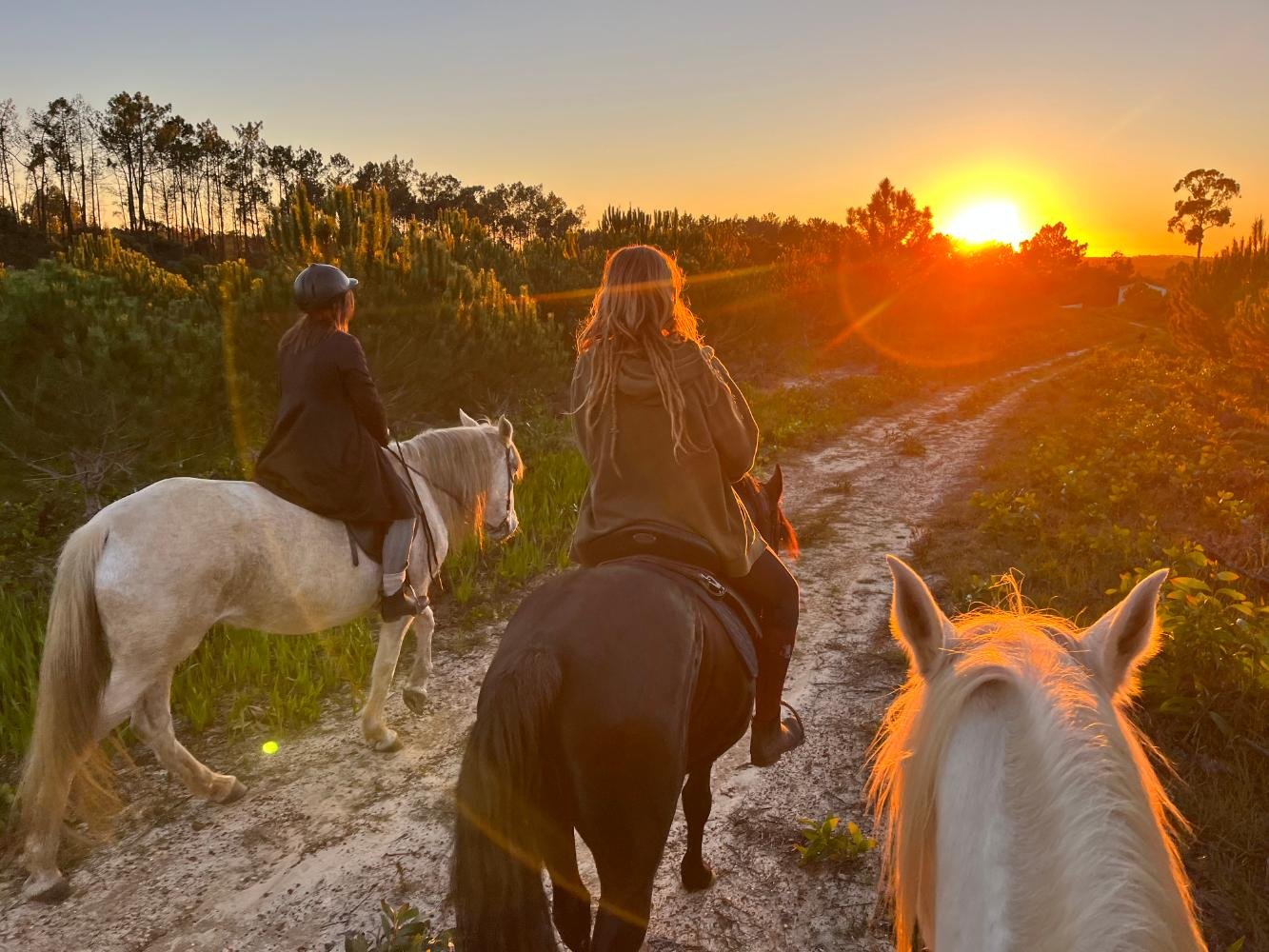Countryside Horseback Adventure in Aljezur