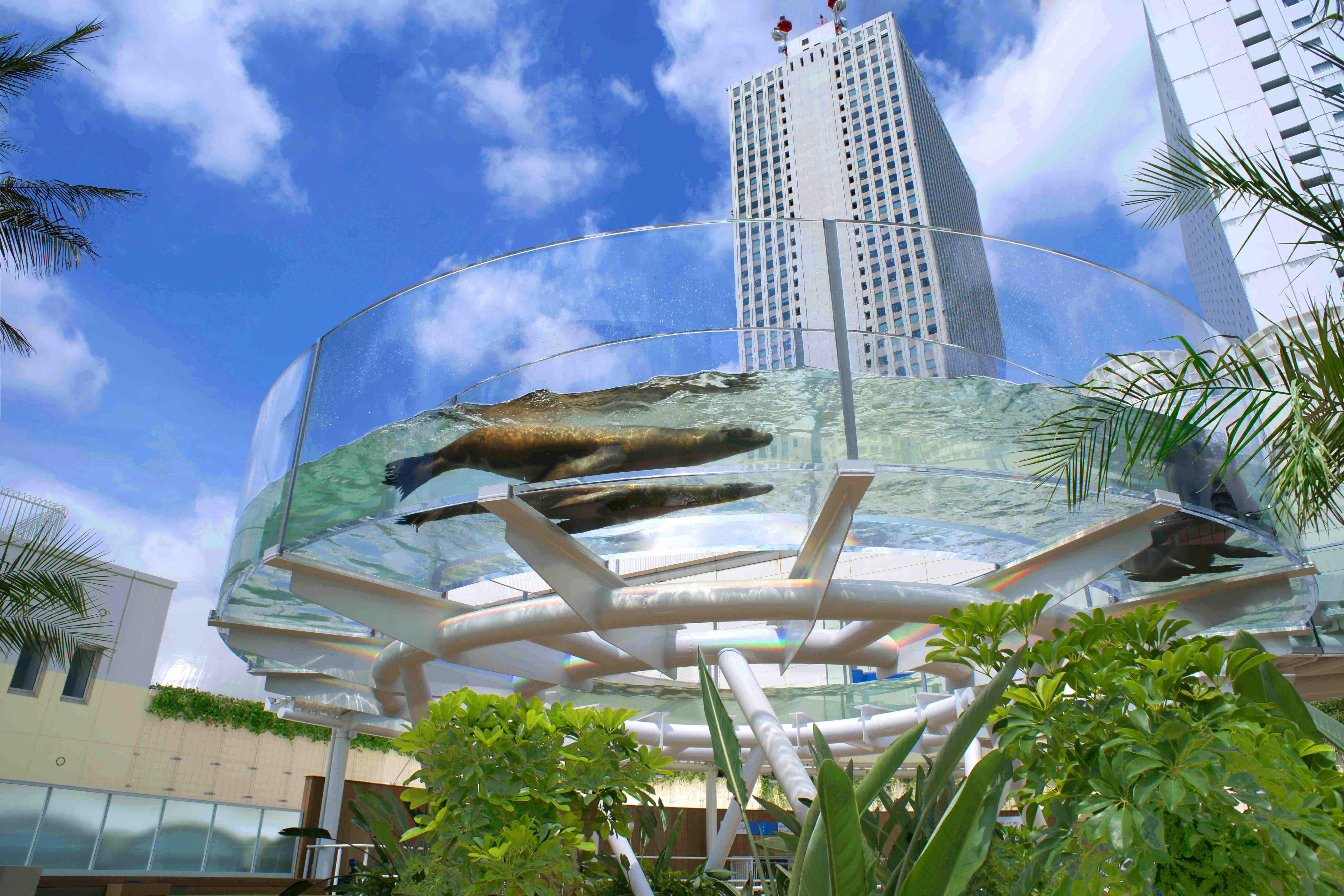 Tokyo: Sunshine Aquarium Admission Ticket