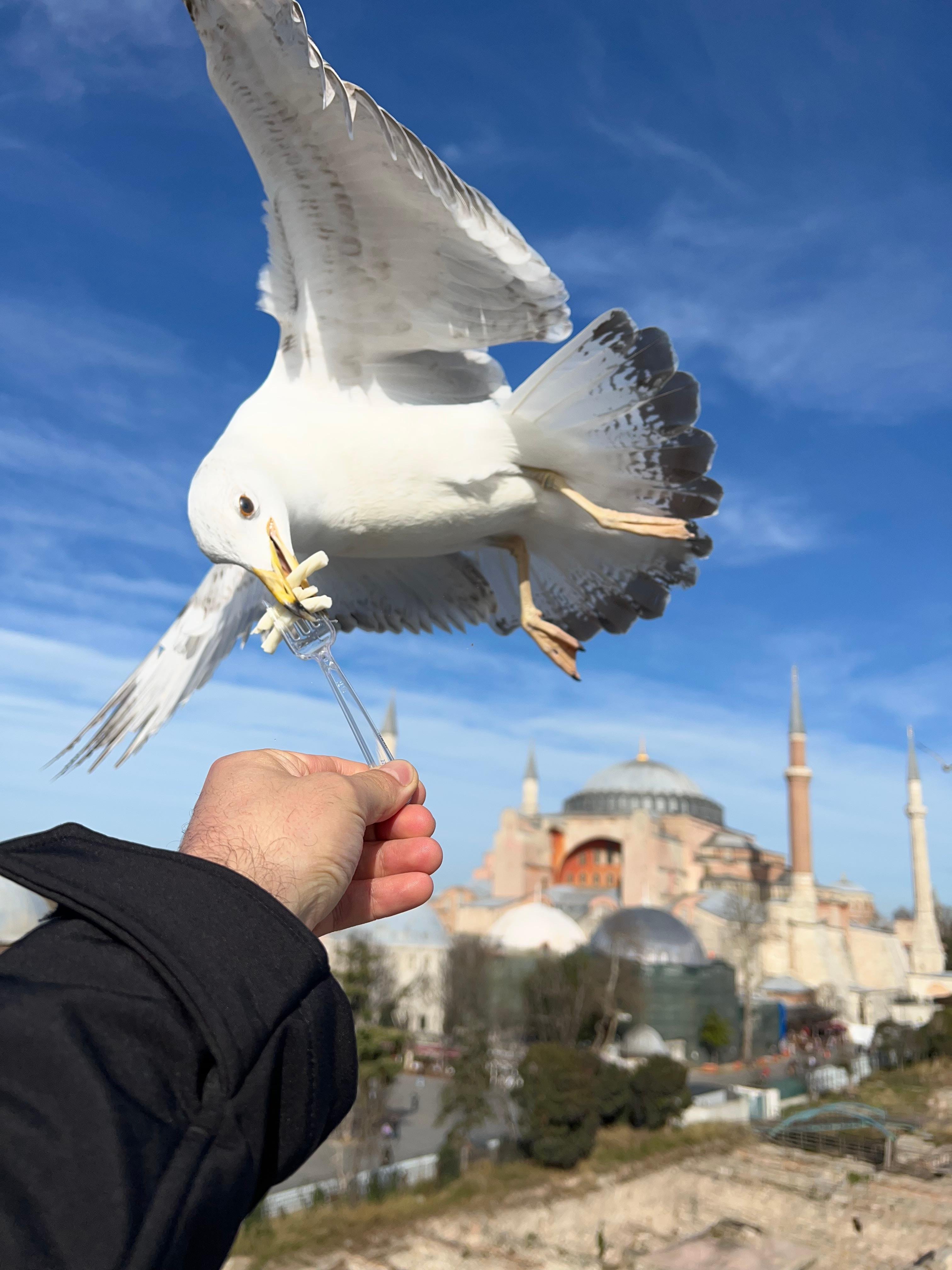Istanbul Full-Day Heritage Tour with Hotel Transfers