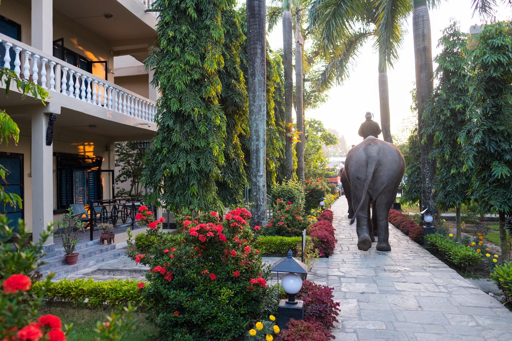 3-Day All-Inclusive Chitwan National Park Safari