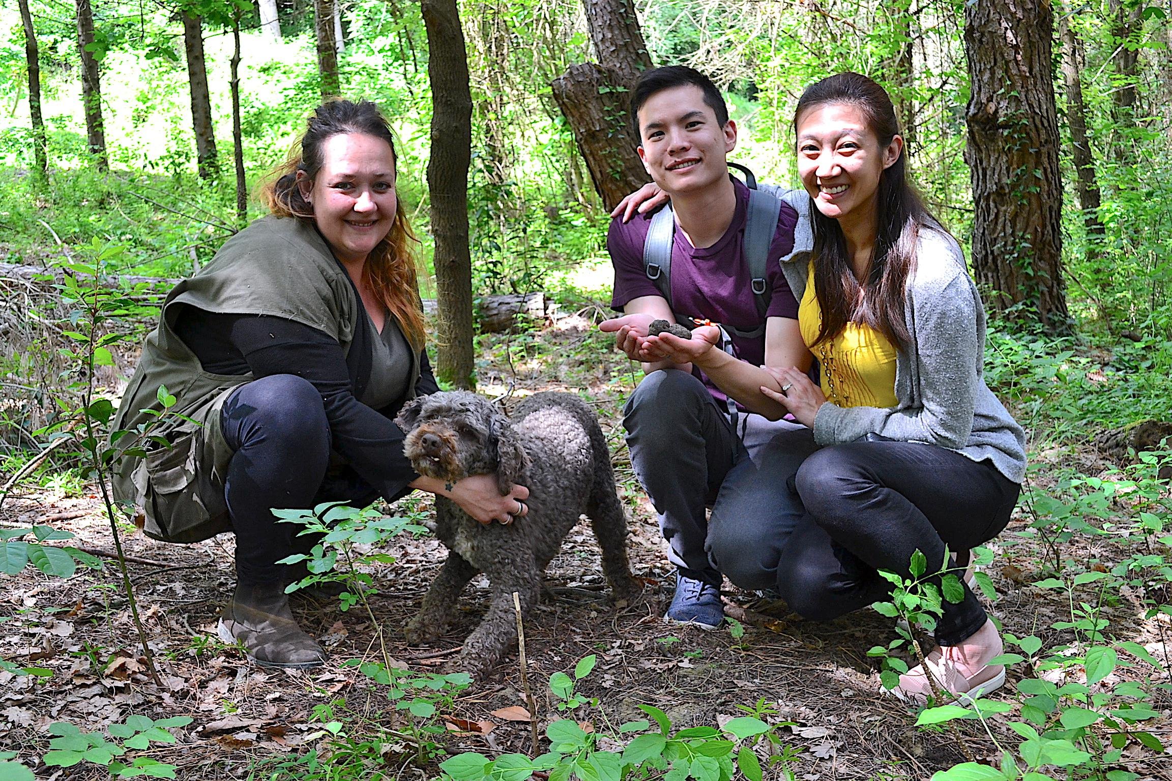 San Miniato: Truffle Hunting, Food, and Gourmet Experience - 2026 (Verified Reviews)