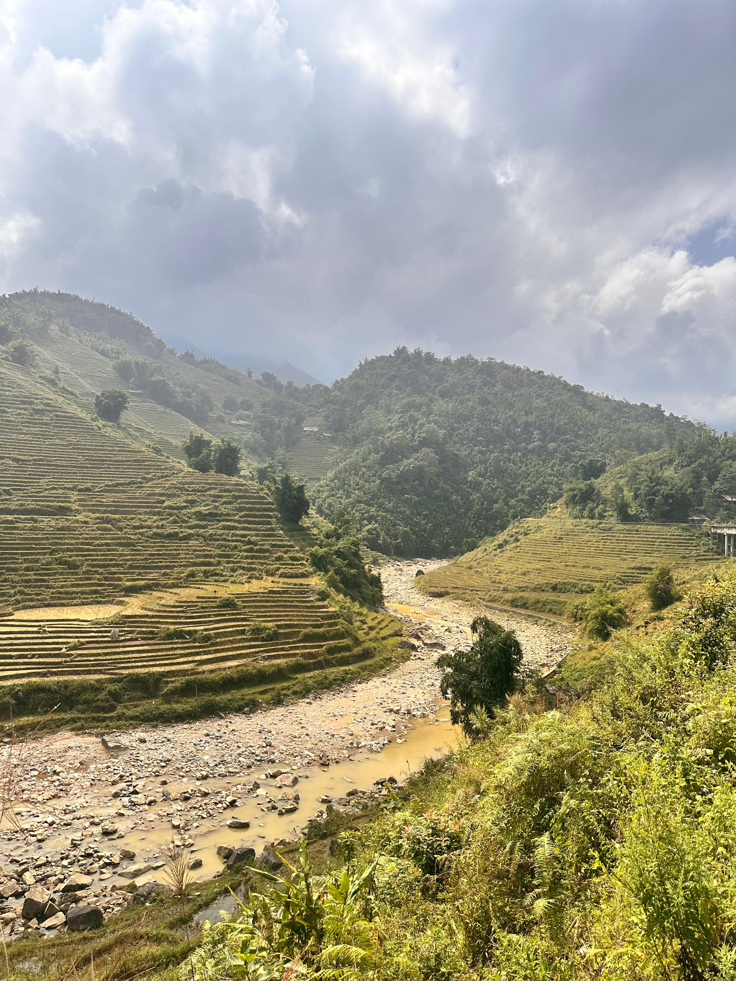 Sapa 2-day trek — Muong Hoa Valley rice terraces and ethnic-minority villages — image 31