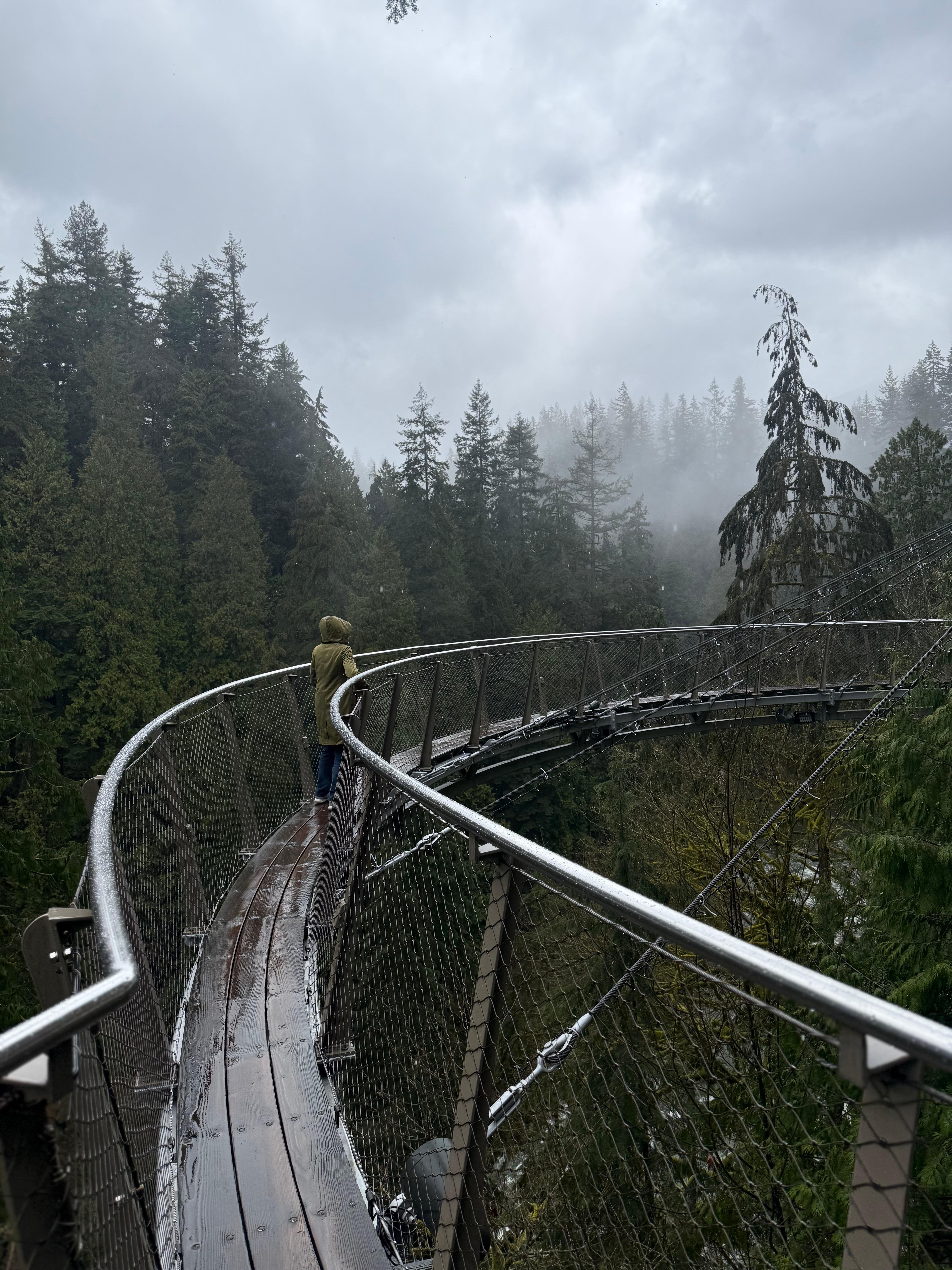 5-in-1 Vancouver Highlights: Grouse Mountain & Capilano Bridge Private Car Tour