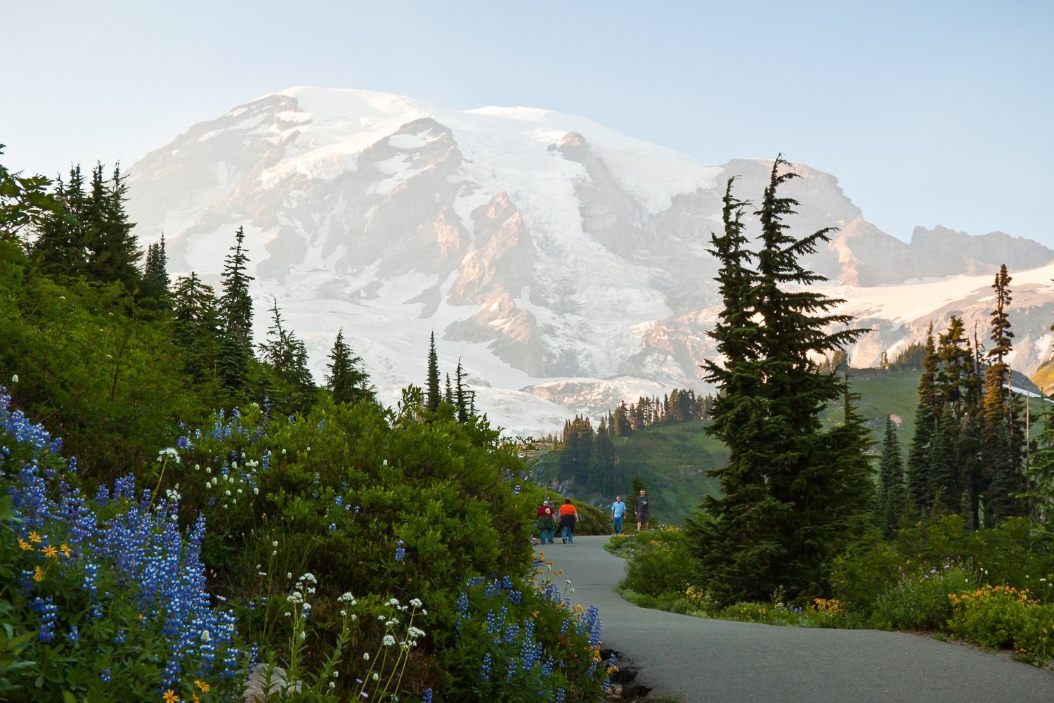 Mount Rainier National Park Small-Group Full-Day Tour from Seattle