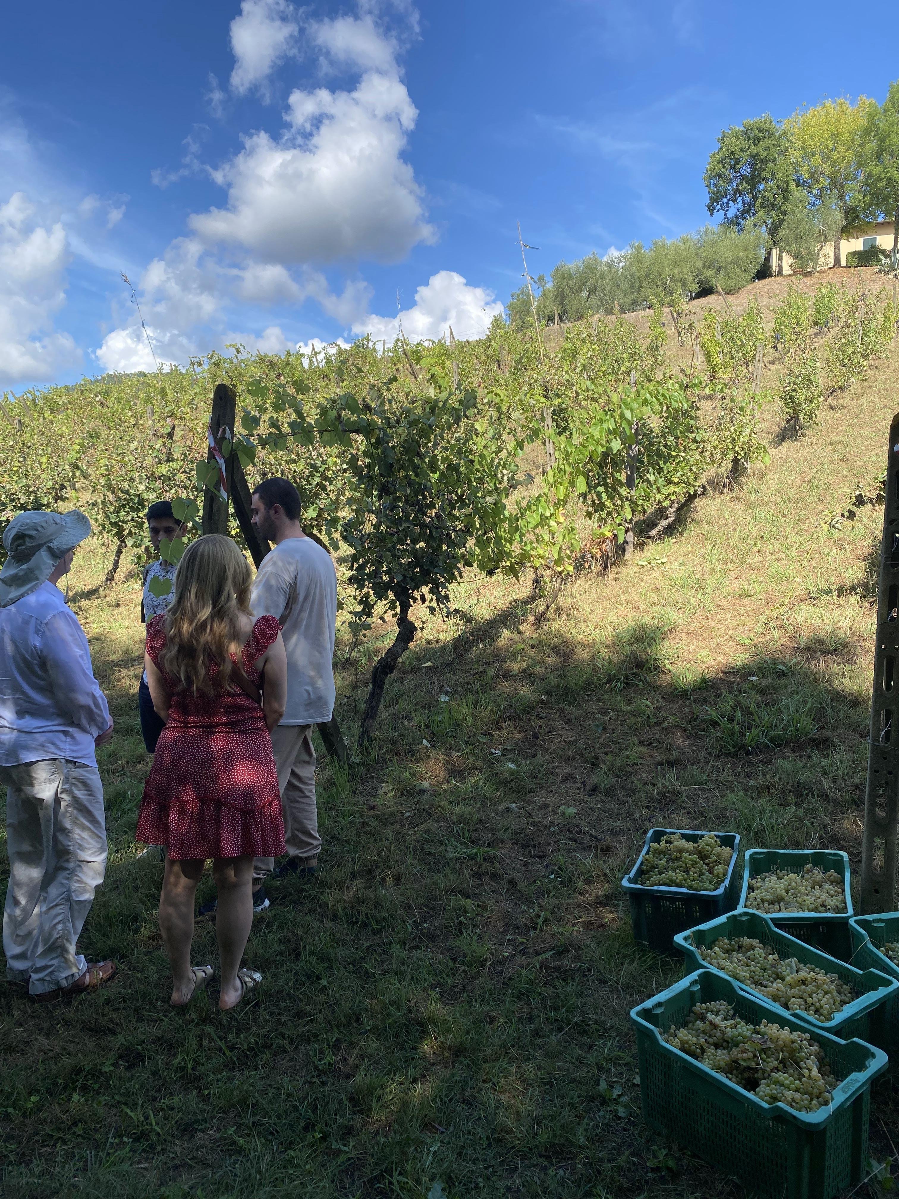 cooking class in Pisa — photo 14