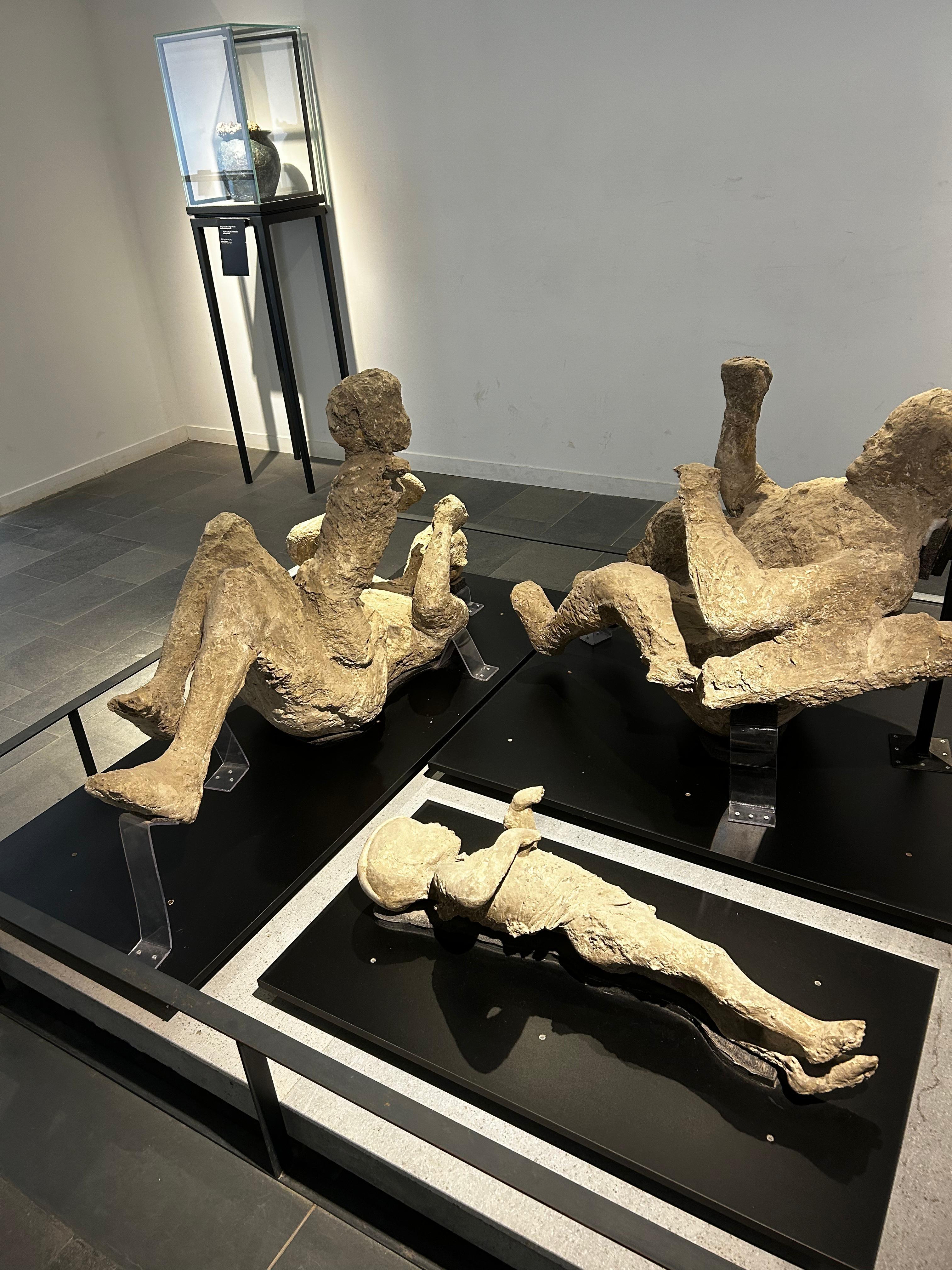 Pompeii Private Walking Tour with Skip-the-Line Access