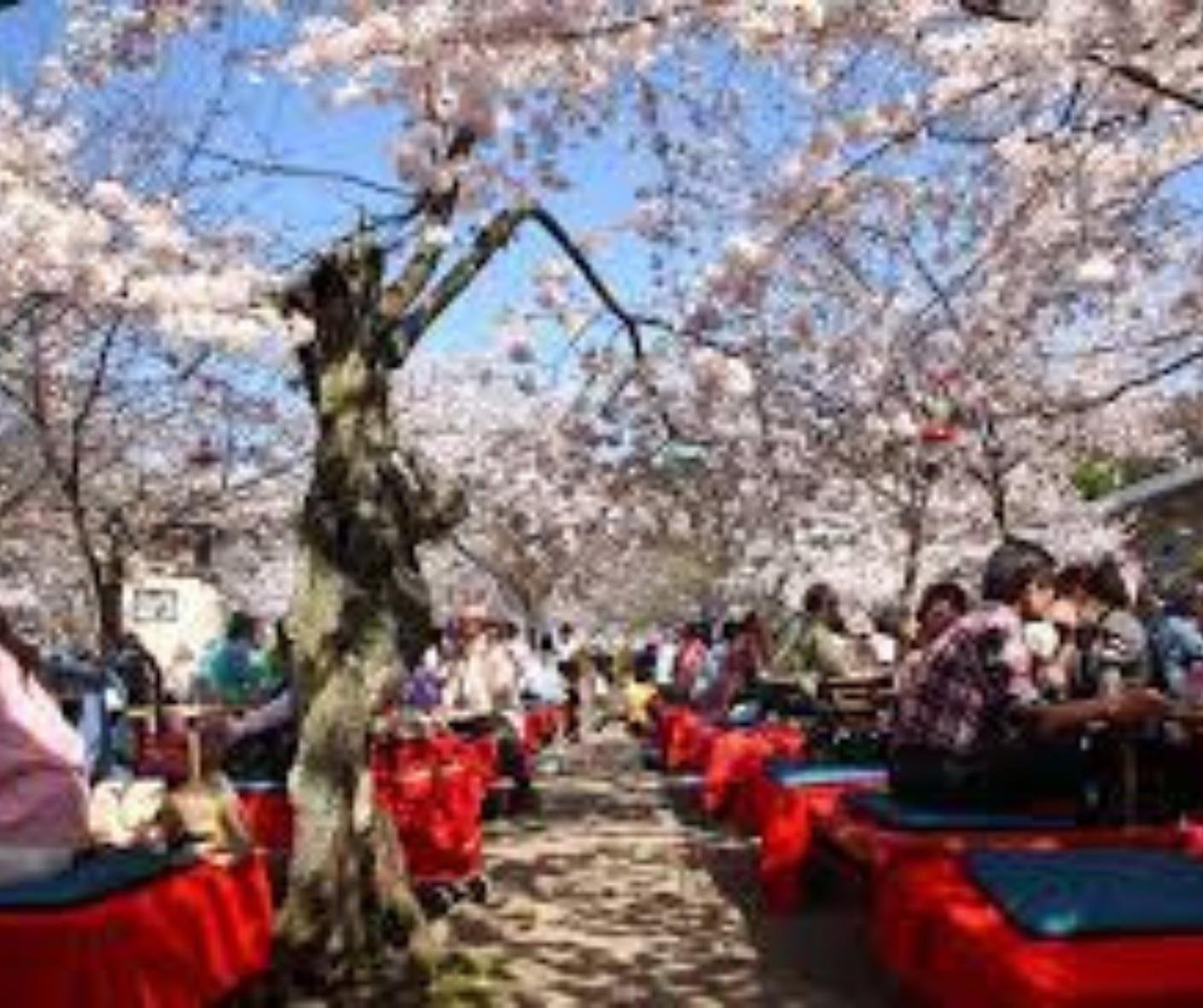 Kyoto Private Full-Day Tour with Luxury Vehicle & Expert Guide