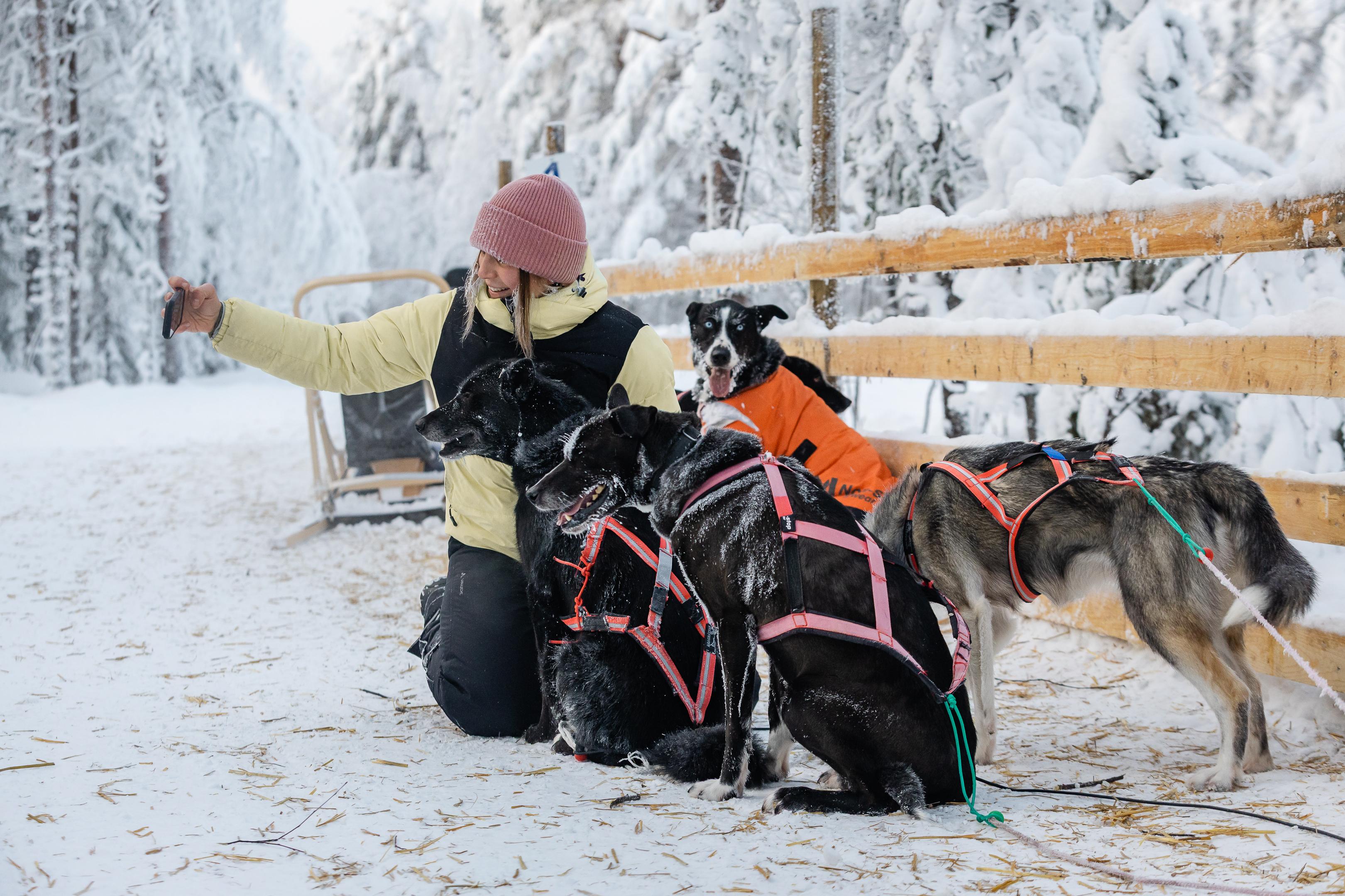 Rovaniemi Daytime Husky Safari