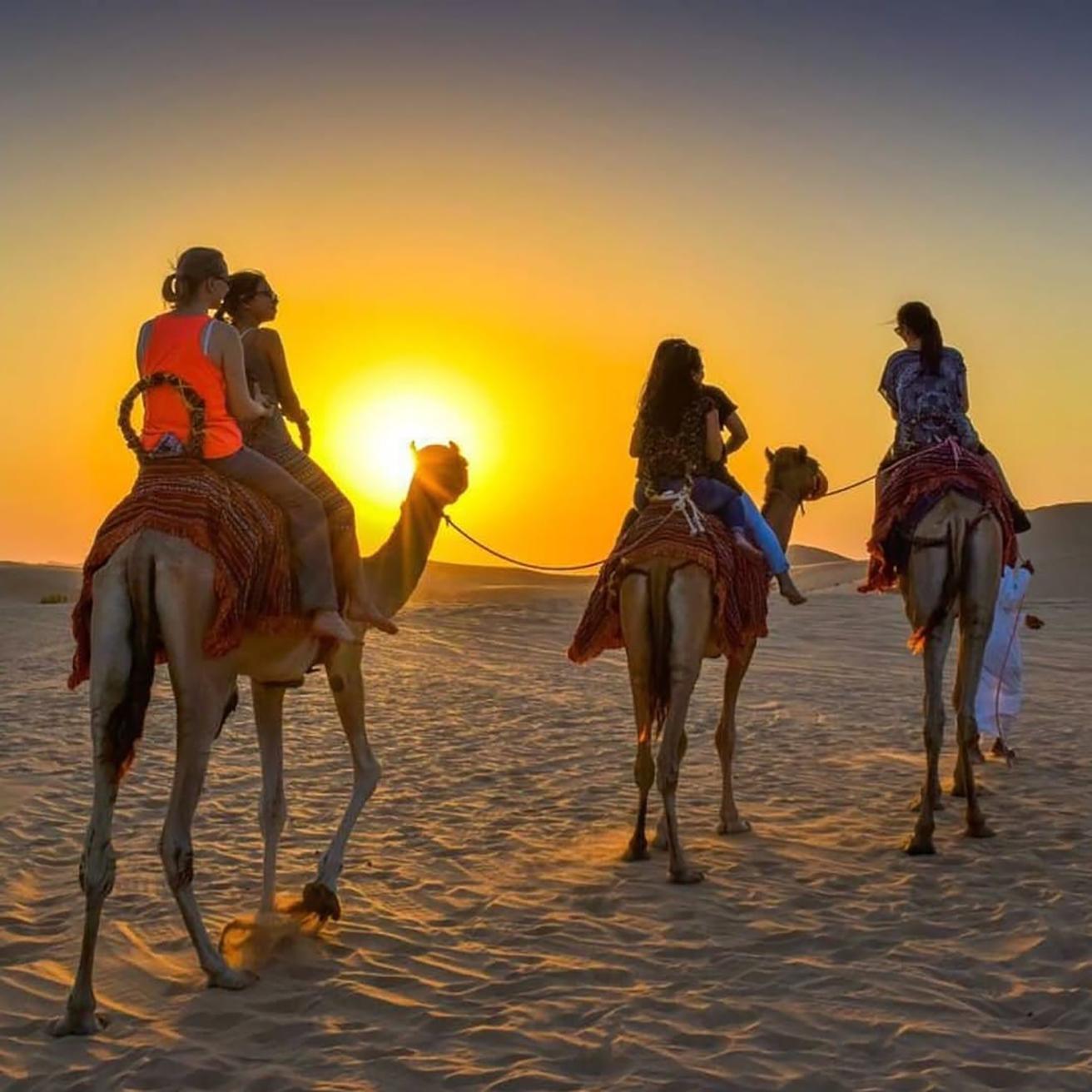 Agadir Quad Biking & Camel Trek with Berber Tea