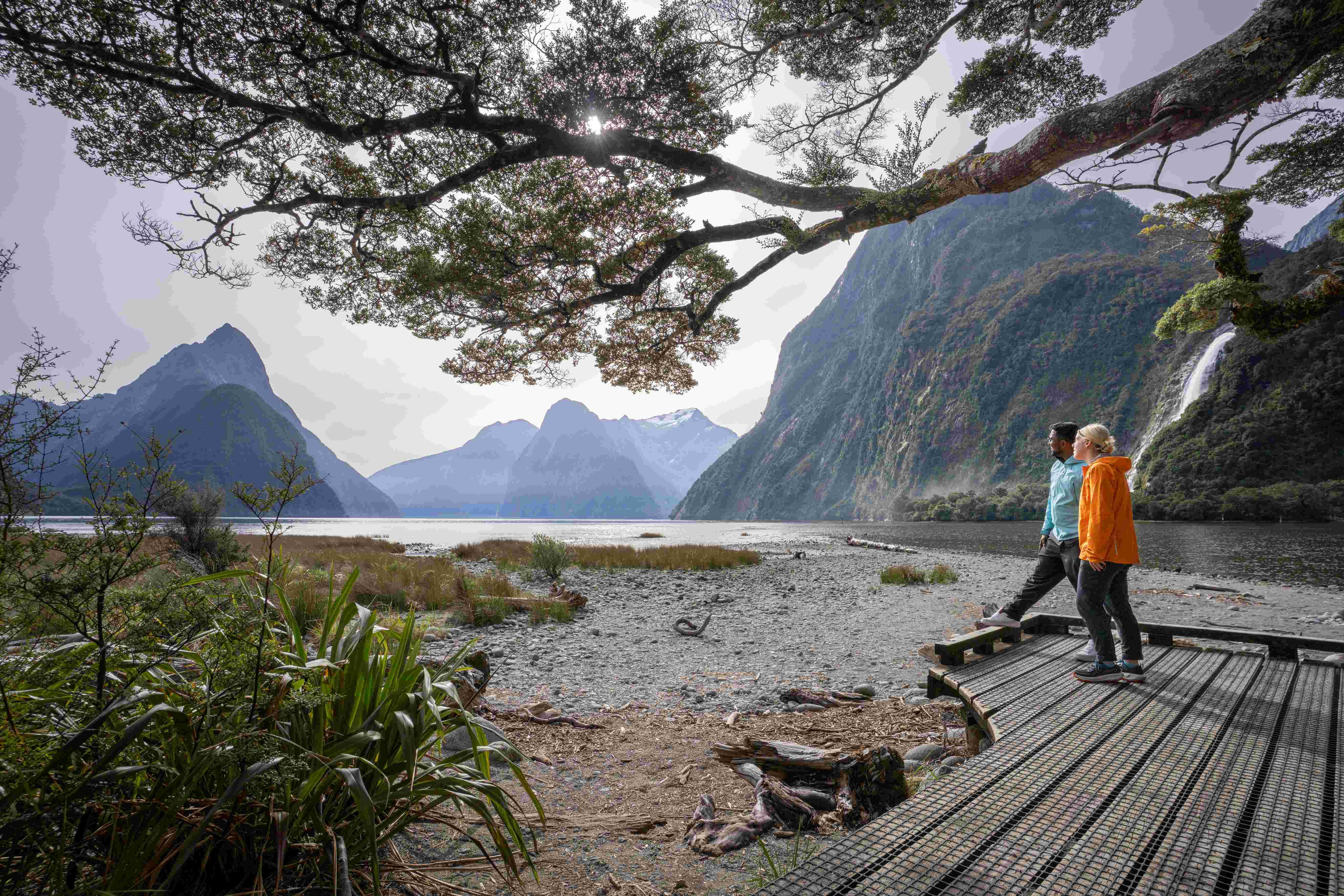 Milford Sound tour photo — image 9