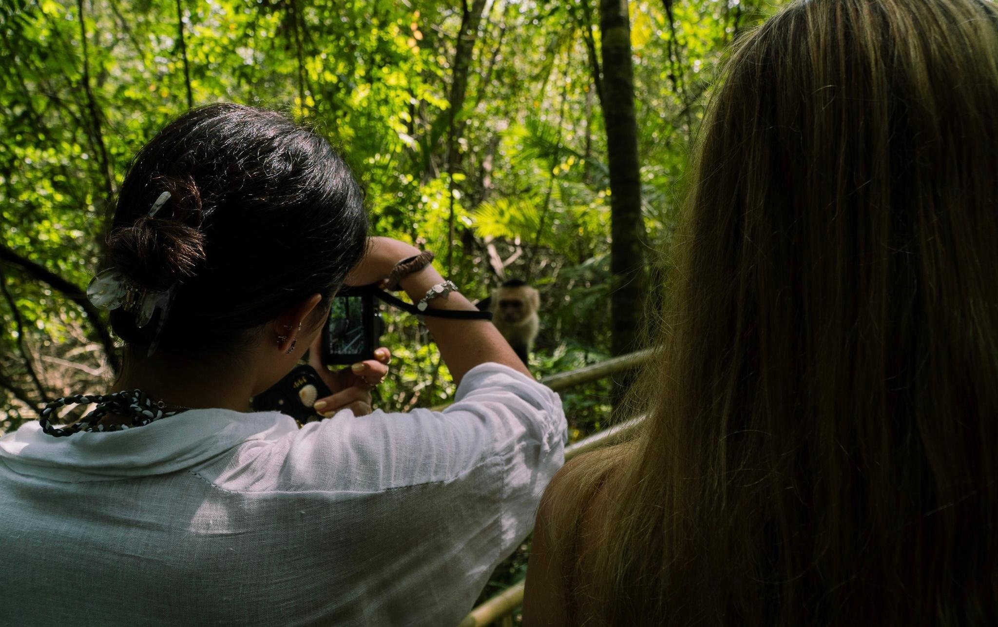 Manuel Antonio National Park: Naturalist-Led Wildlife Walking Tour
