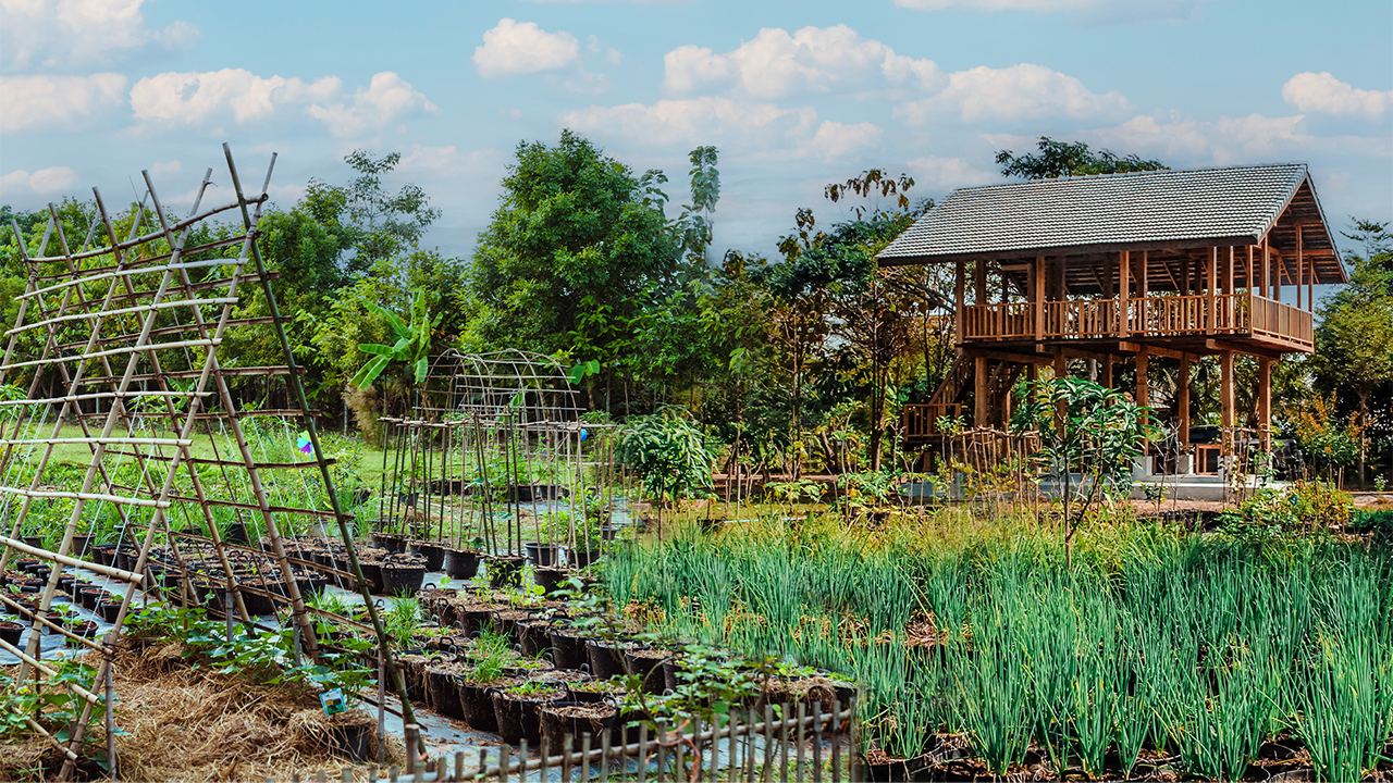 Chiang Mai: HALF-DAY COOKING COURSE at a Thai Cooking Farm